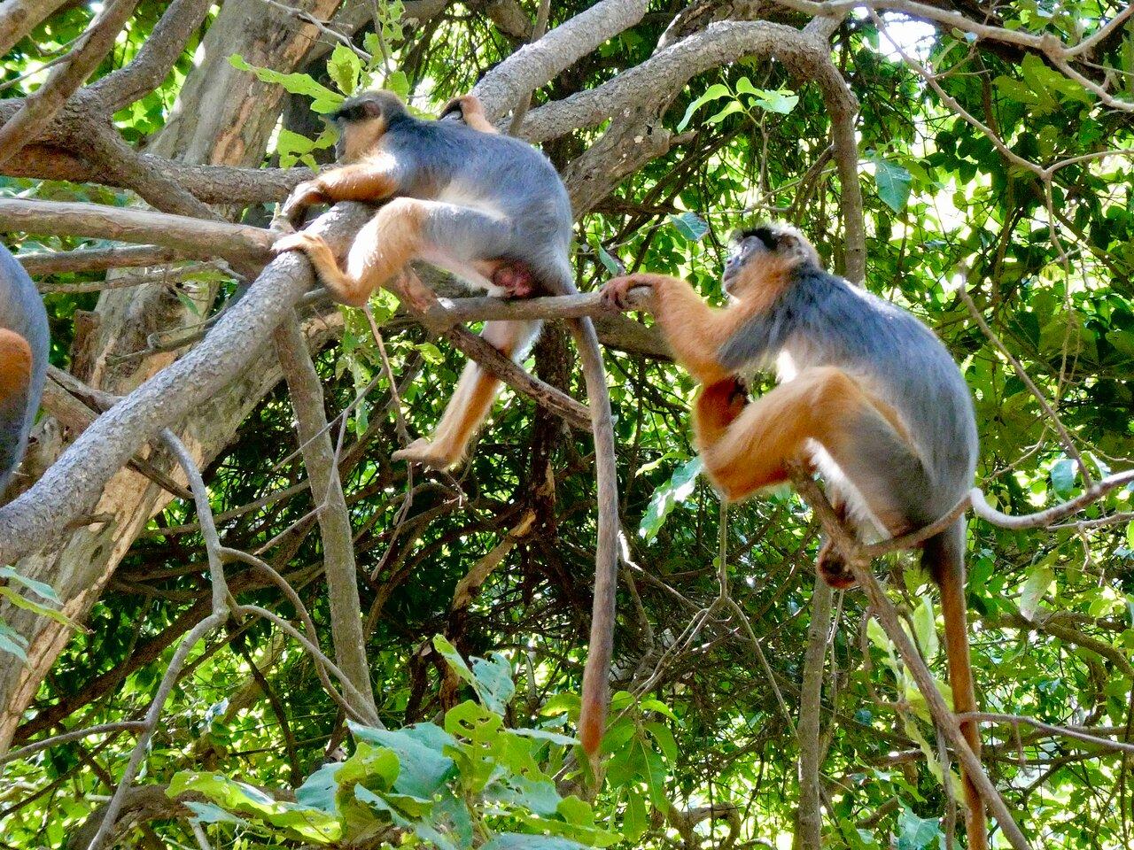 Review photo