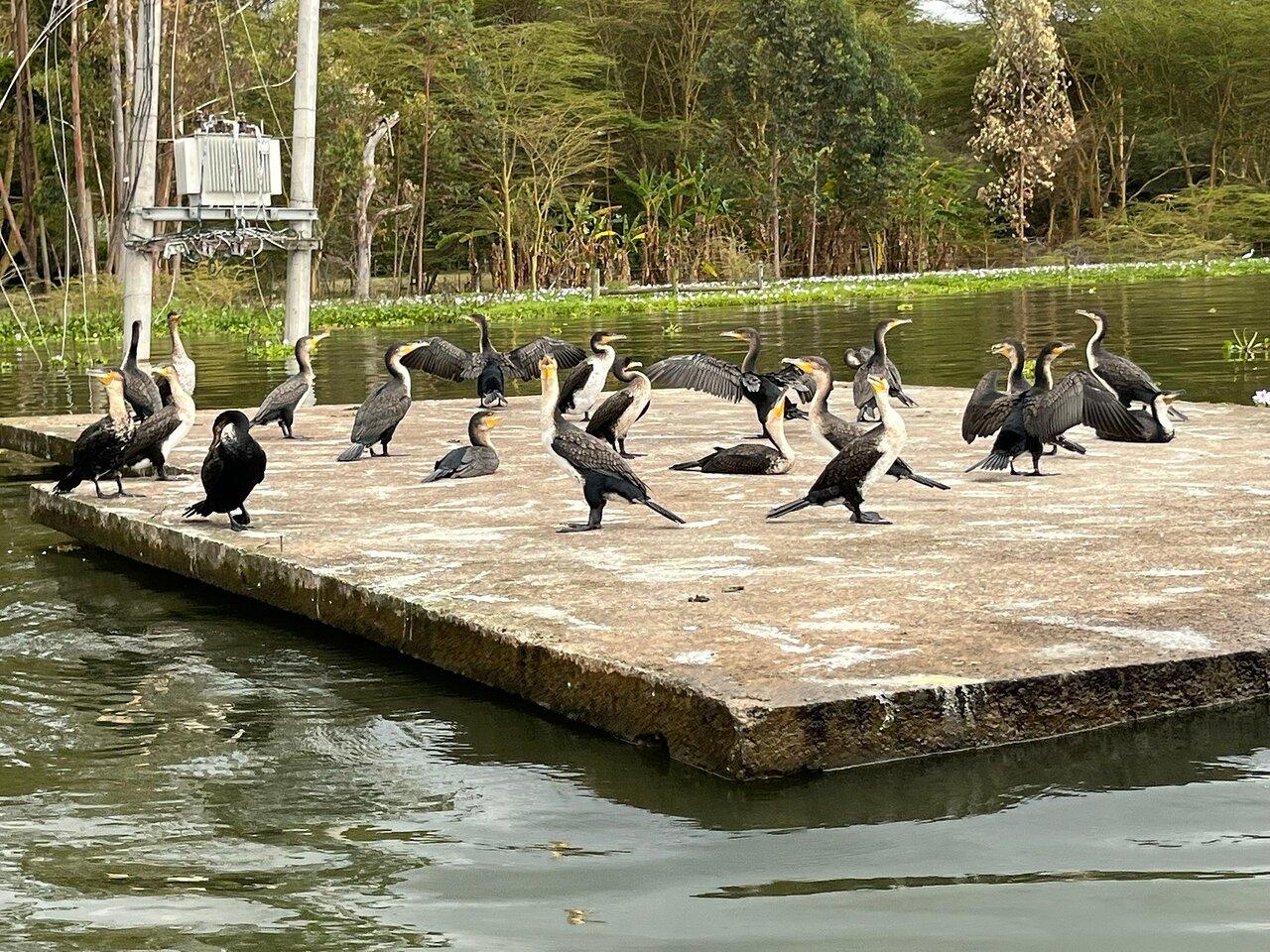 Review photo
