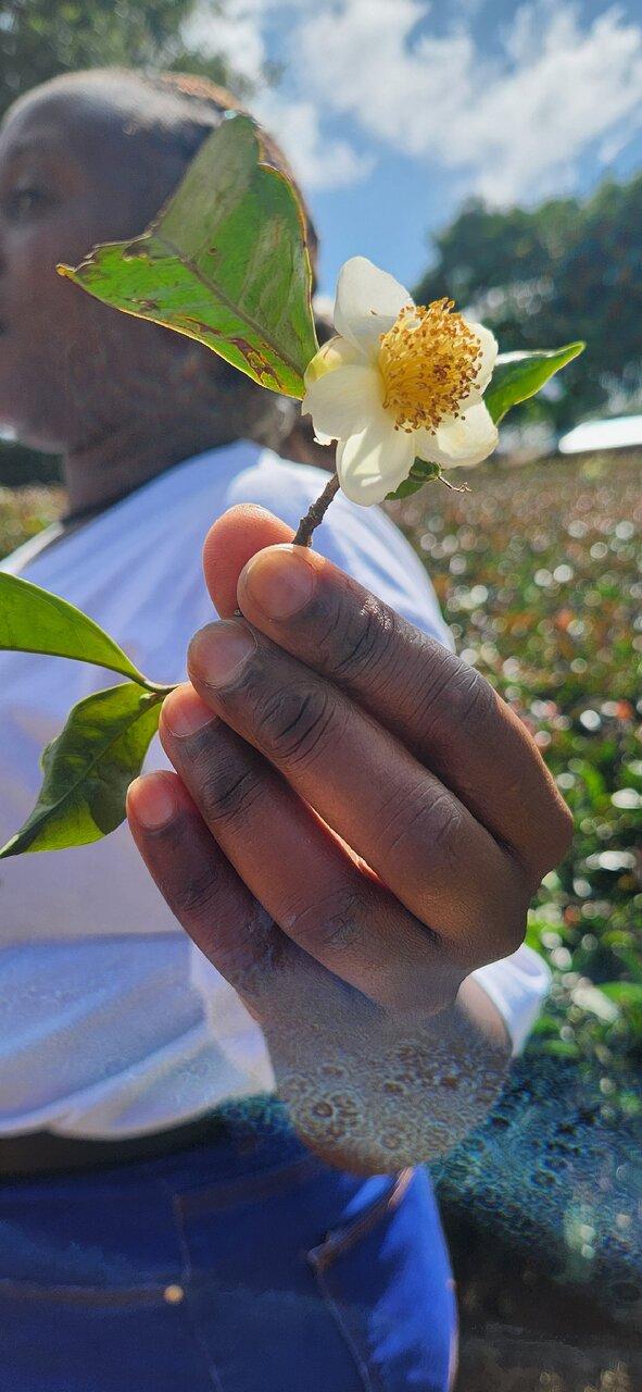 Review photo