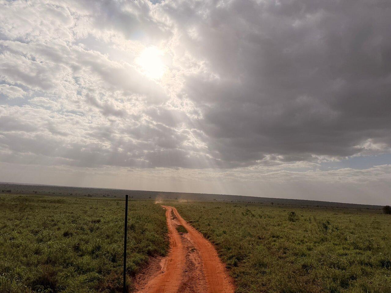 Review photo