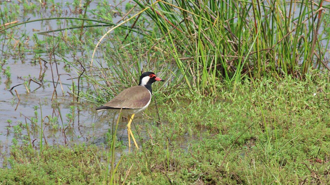 Review photo