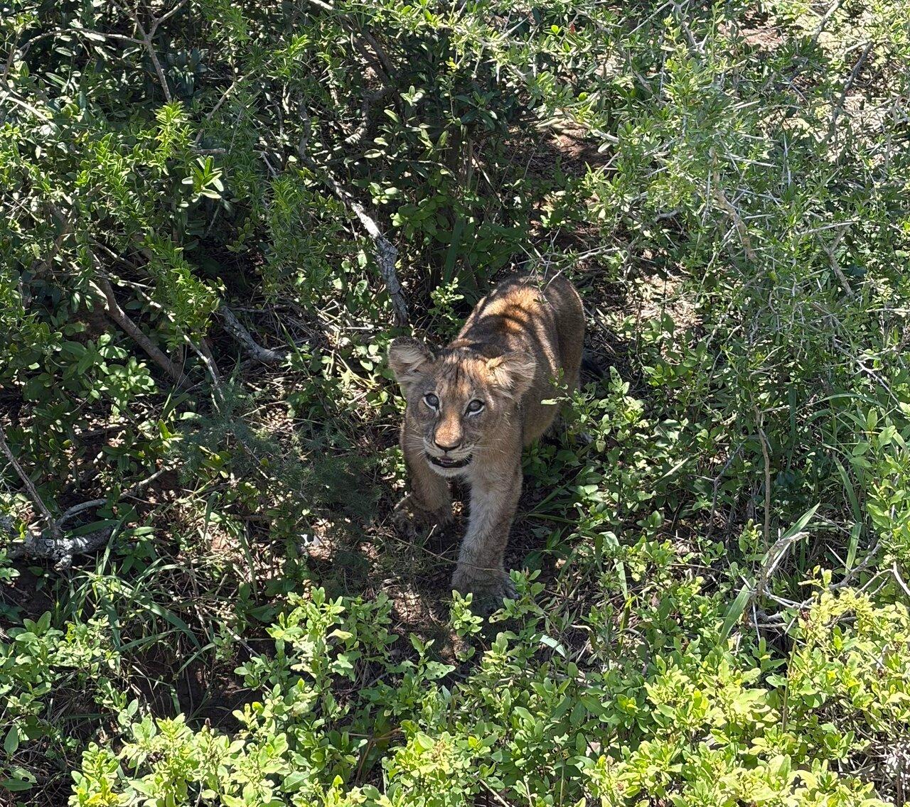 Review photo
