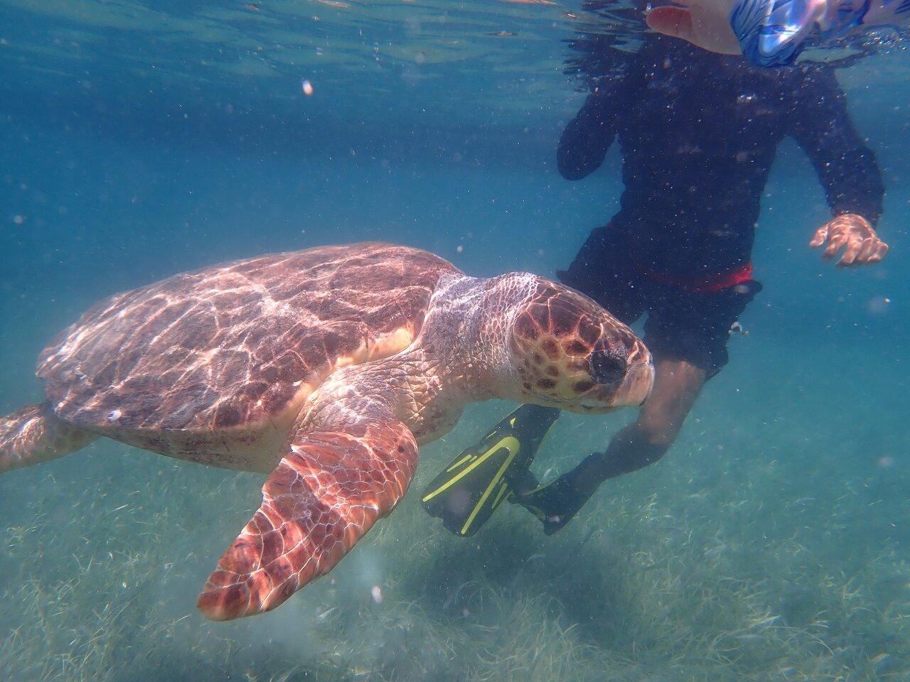Review photo