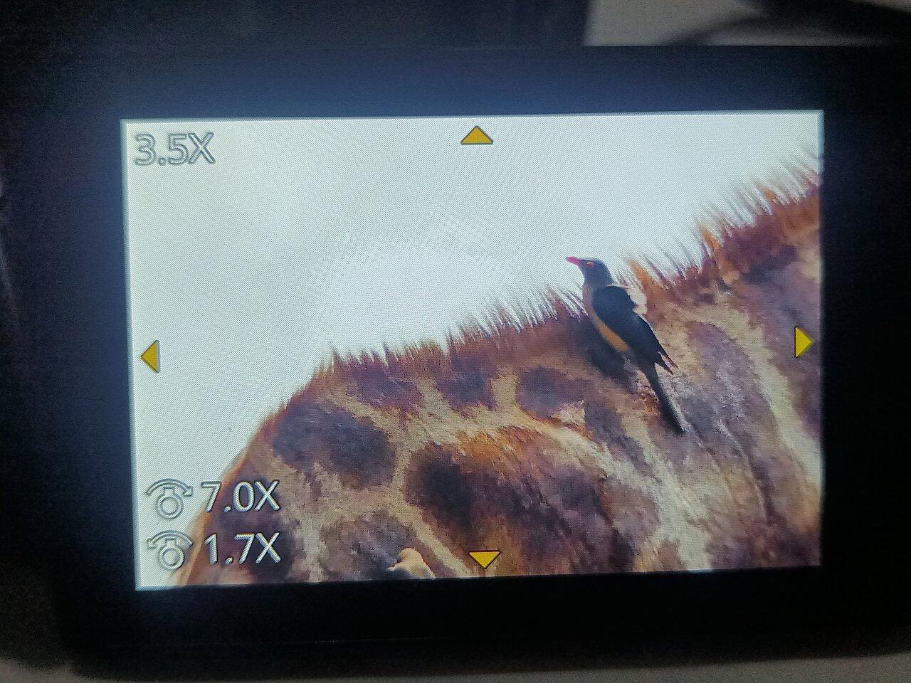 Review photo