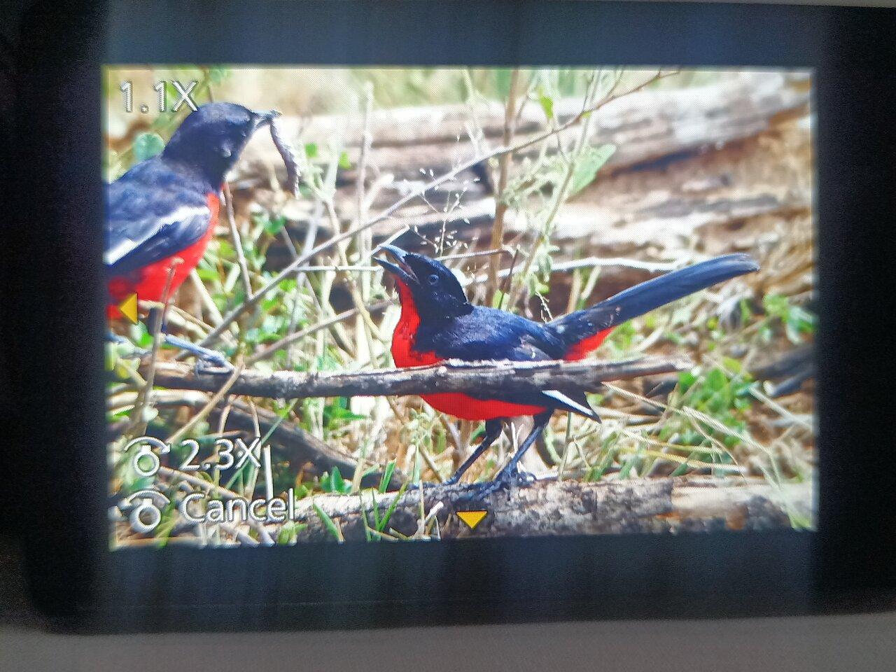 Review photo