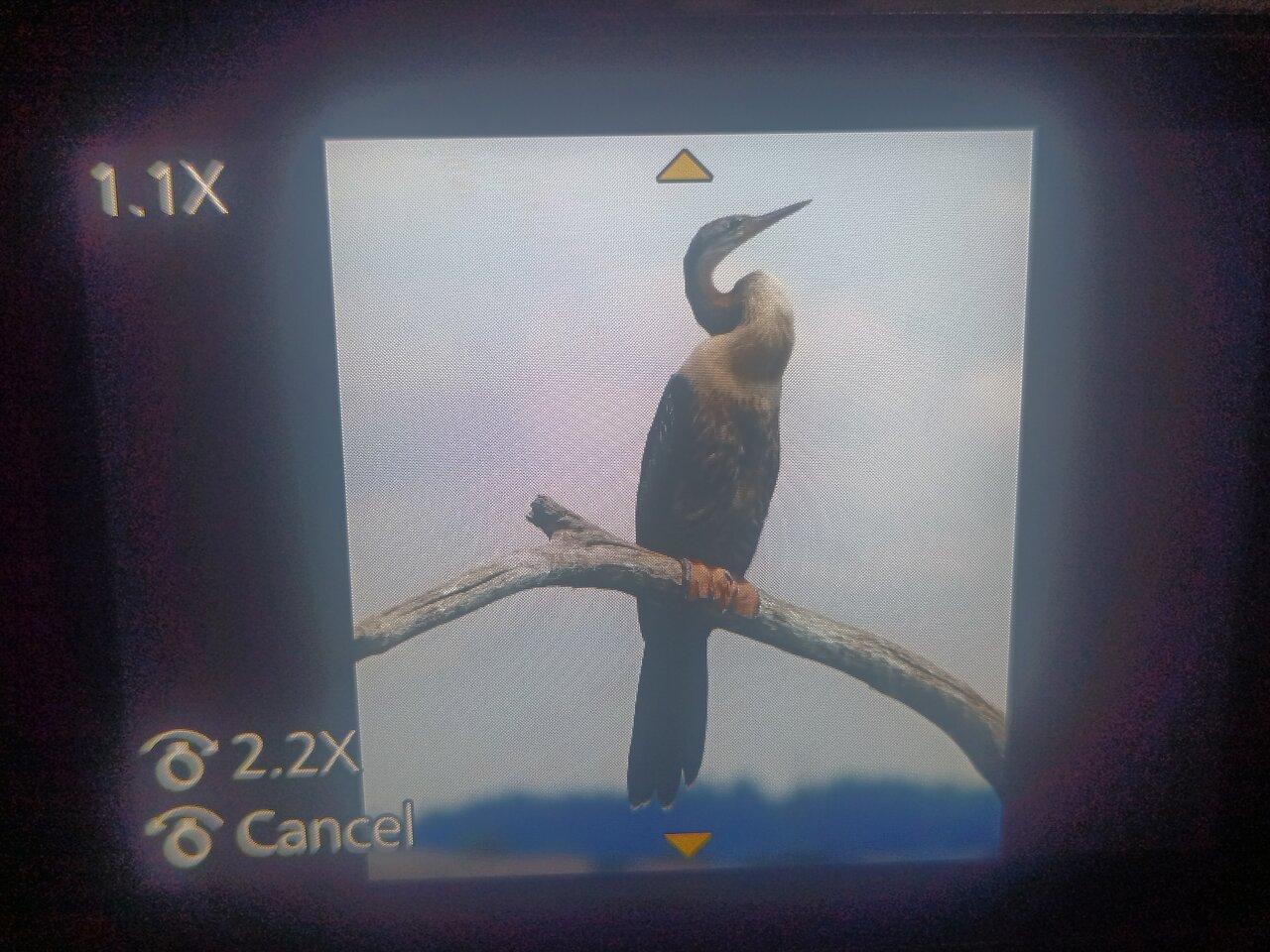 Review photo