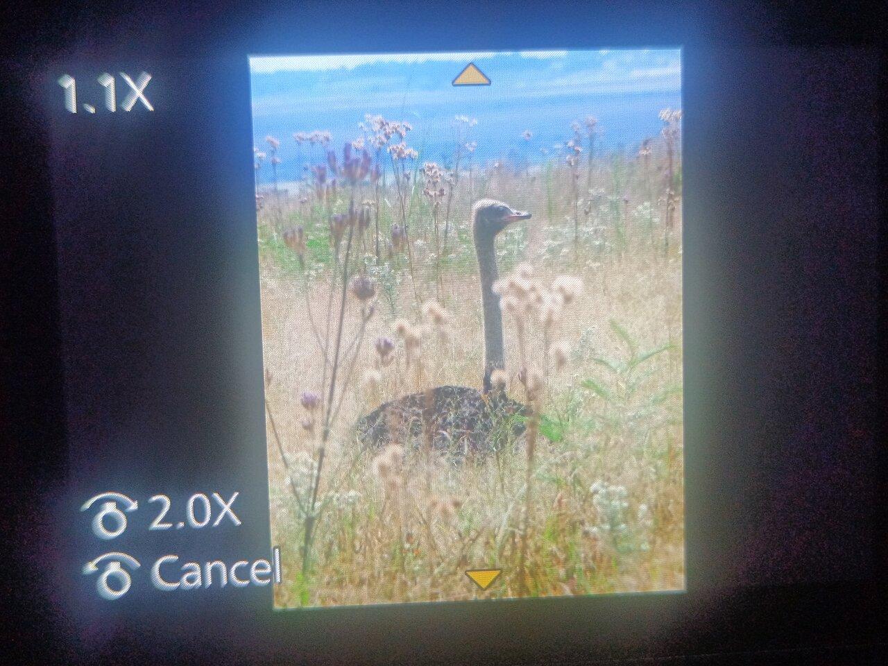 Review photo