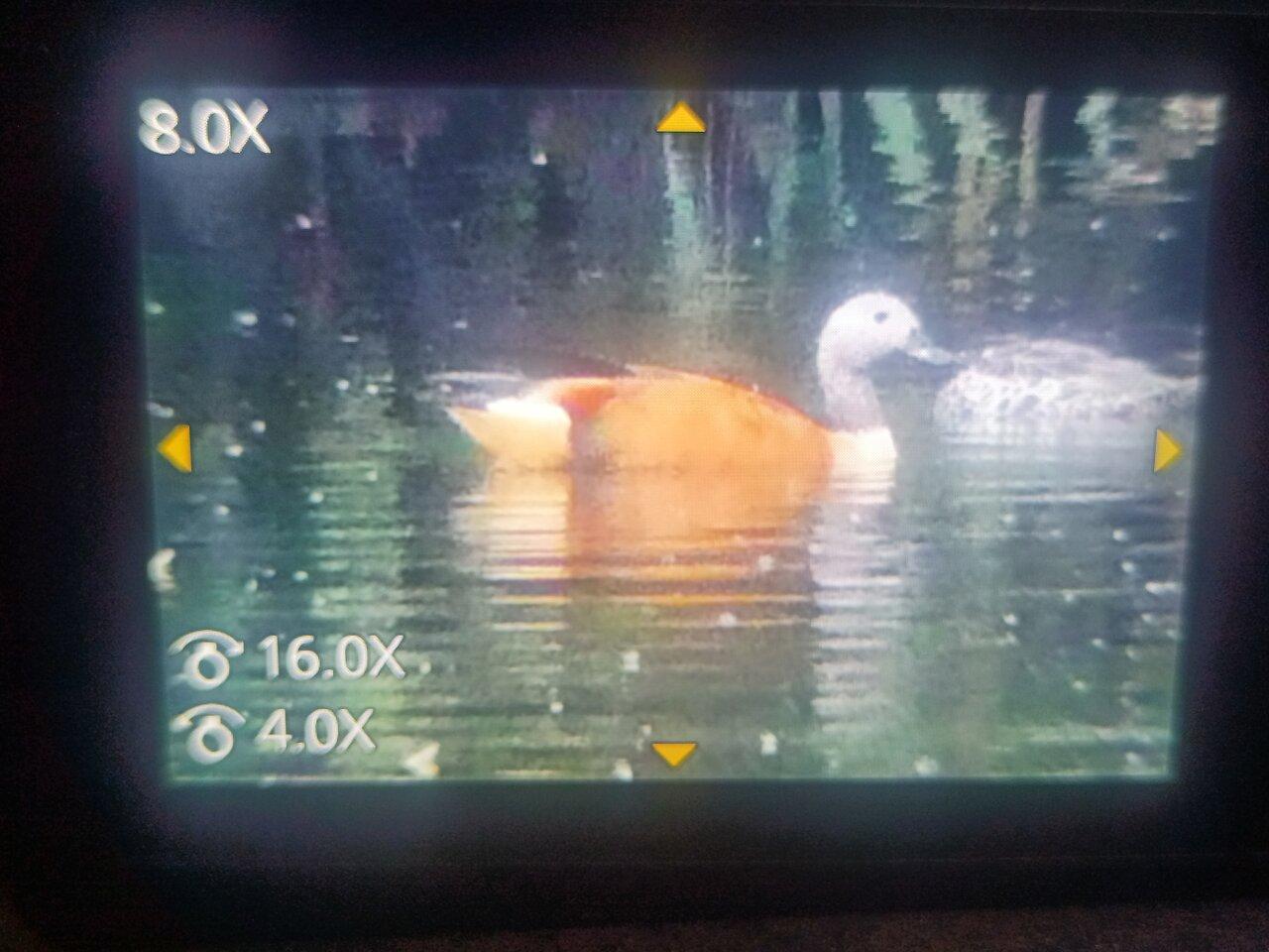 Review photo