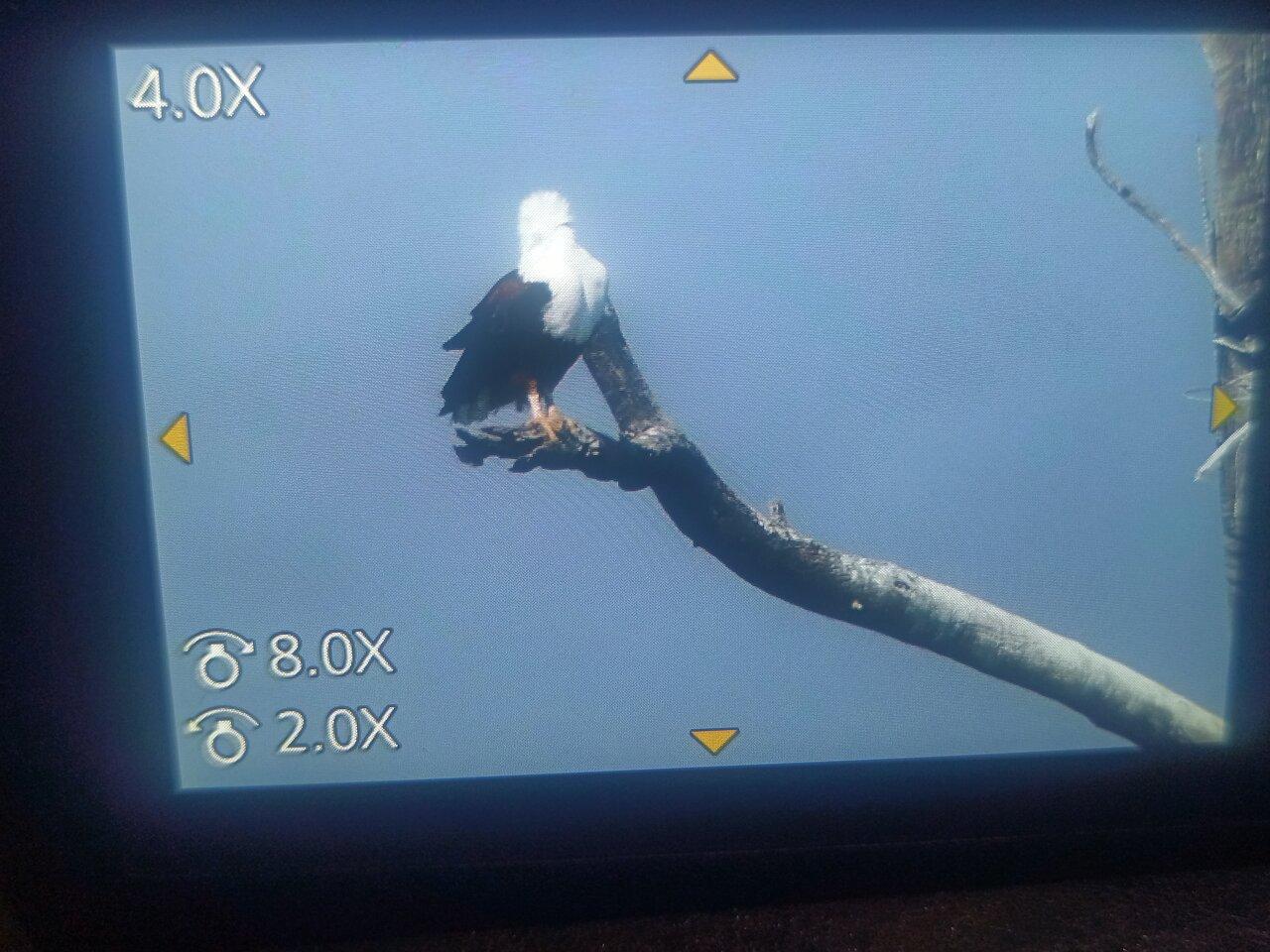 Review photo