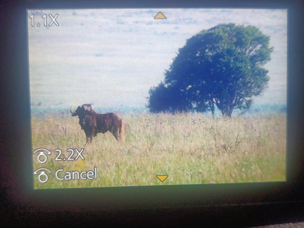Review photo