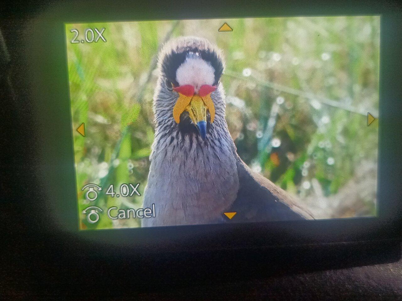 Review photo