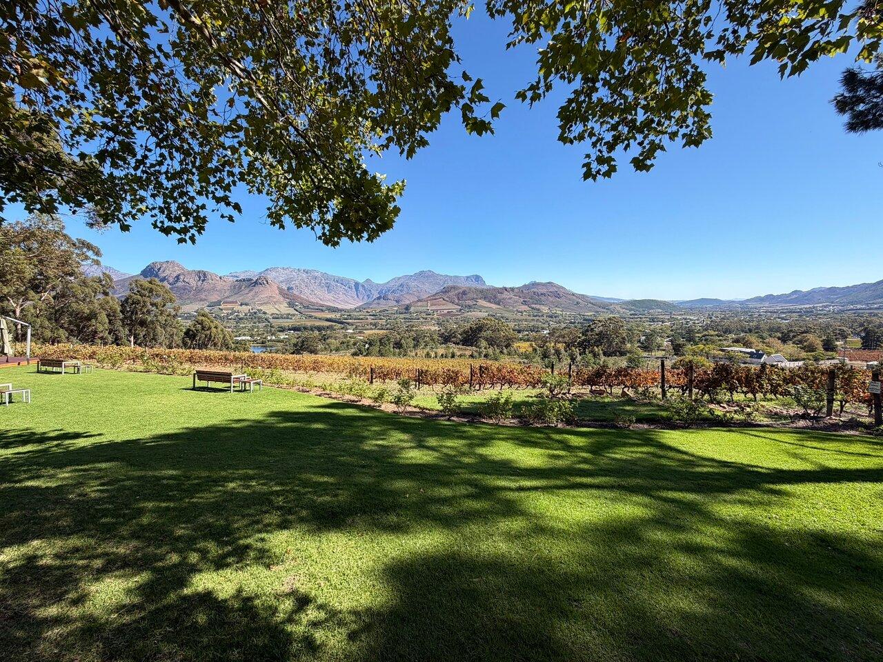 Review photo