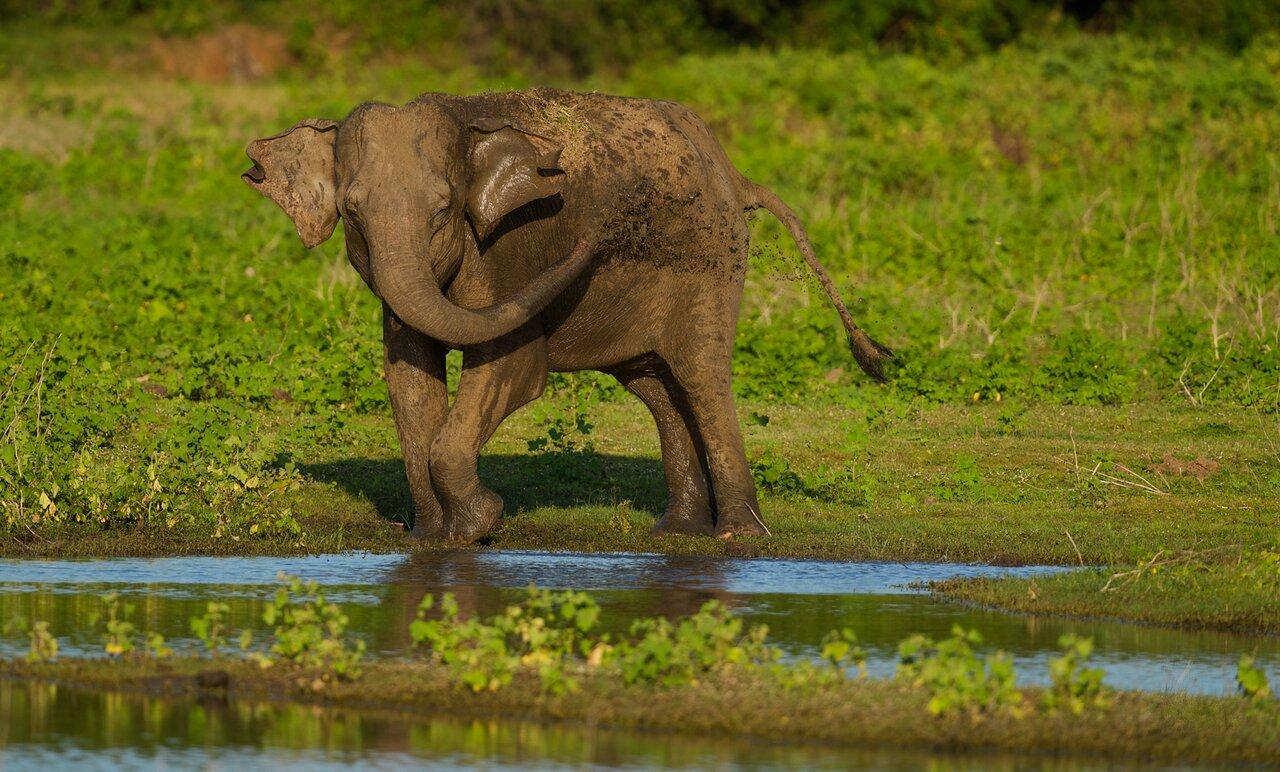 Review photo