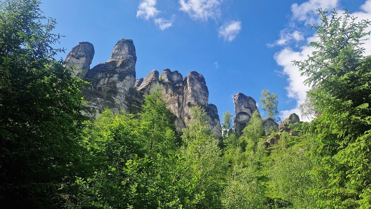 Review photo