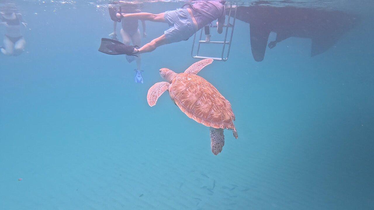 Review photo