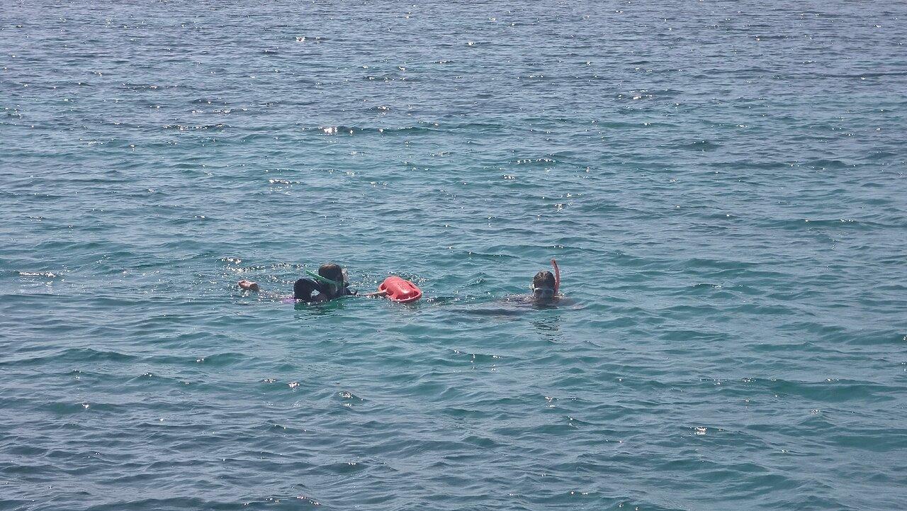Review photo