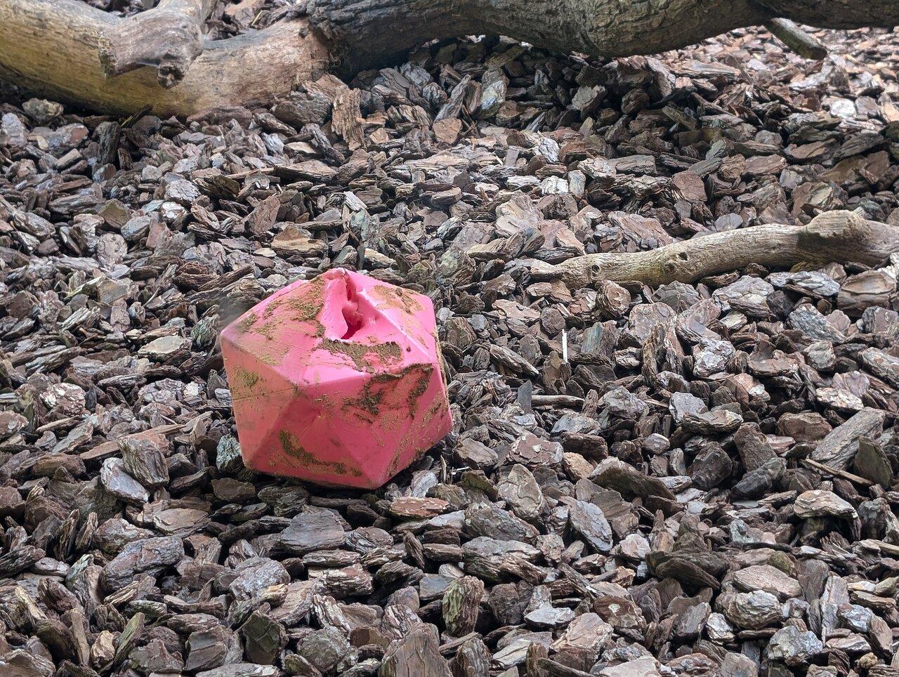 Review photo