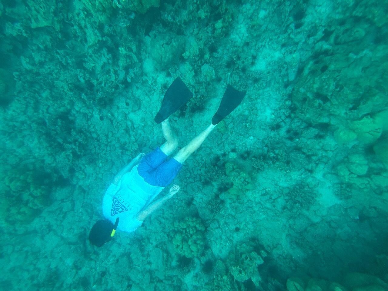 Review photo