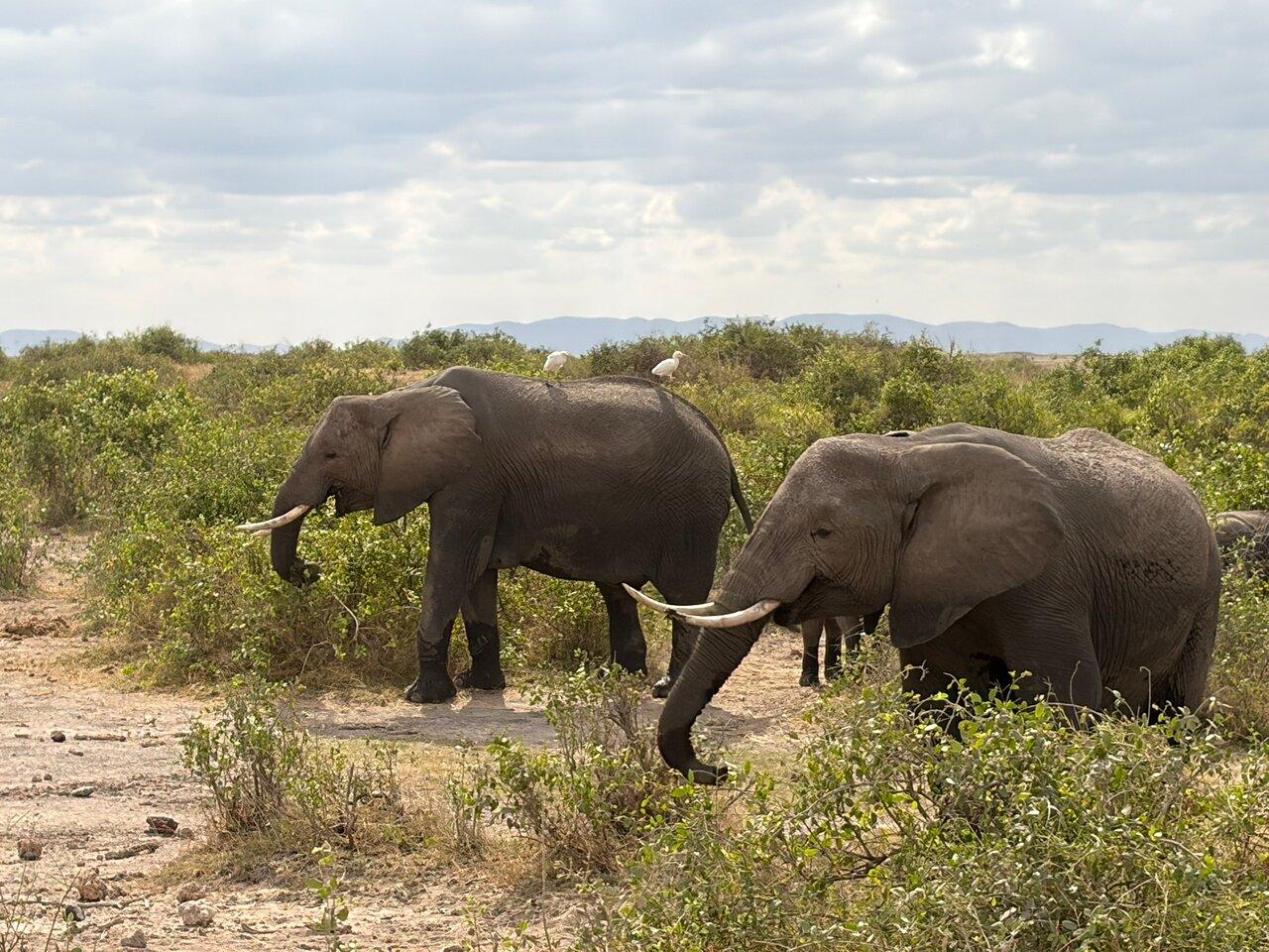 Review photo