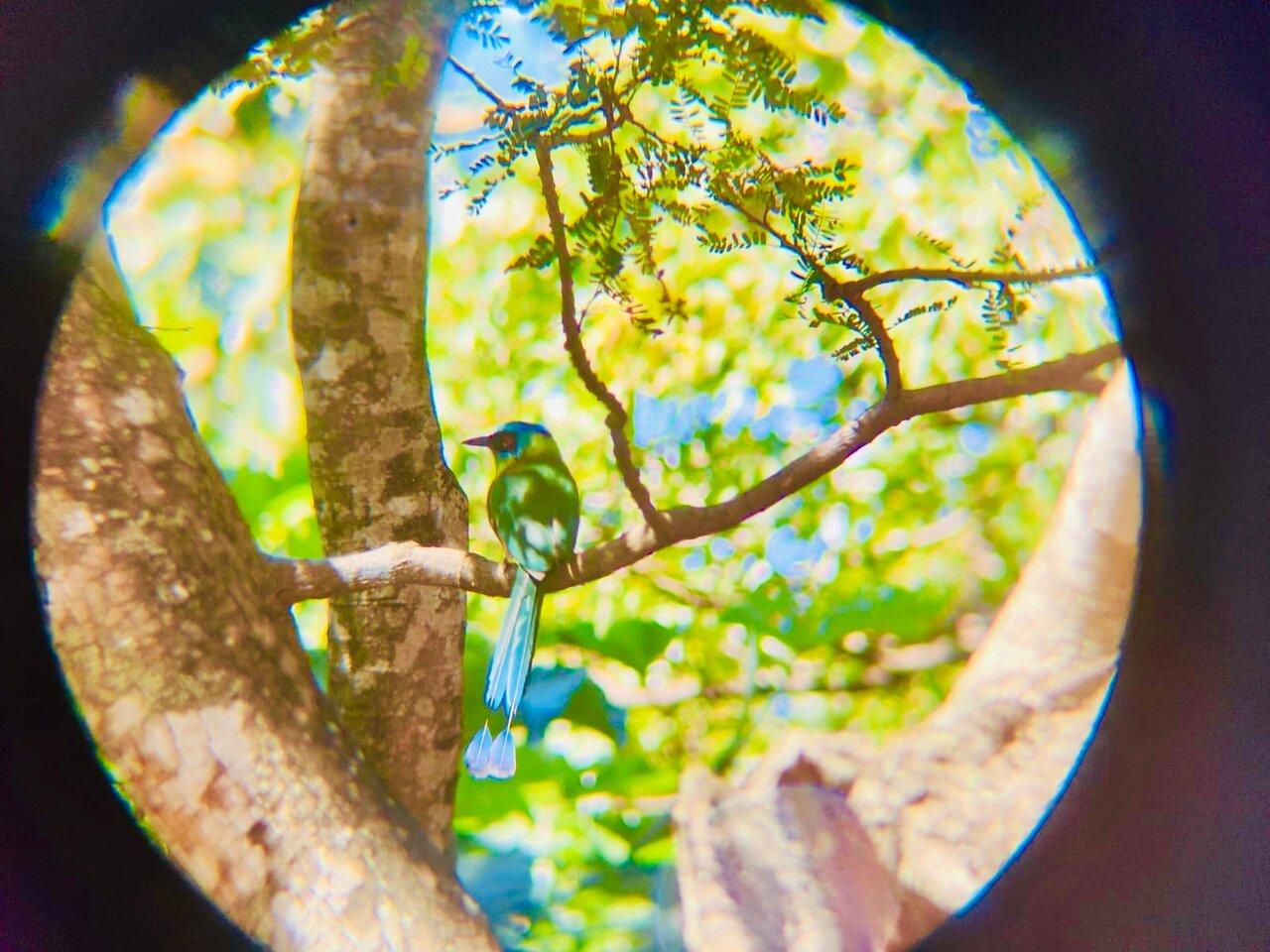 Review photo