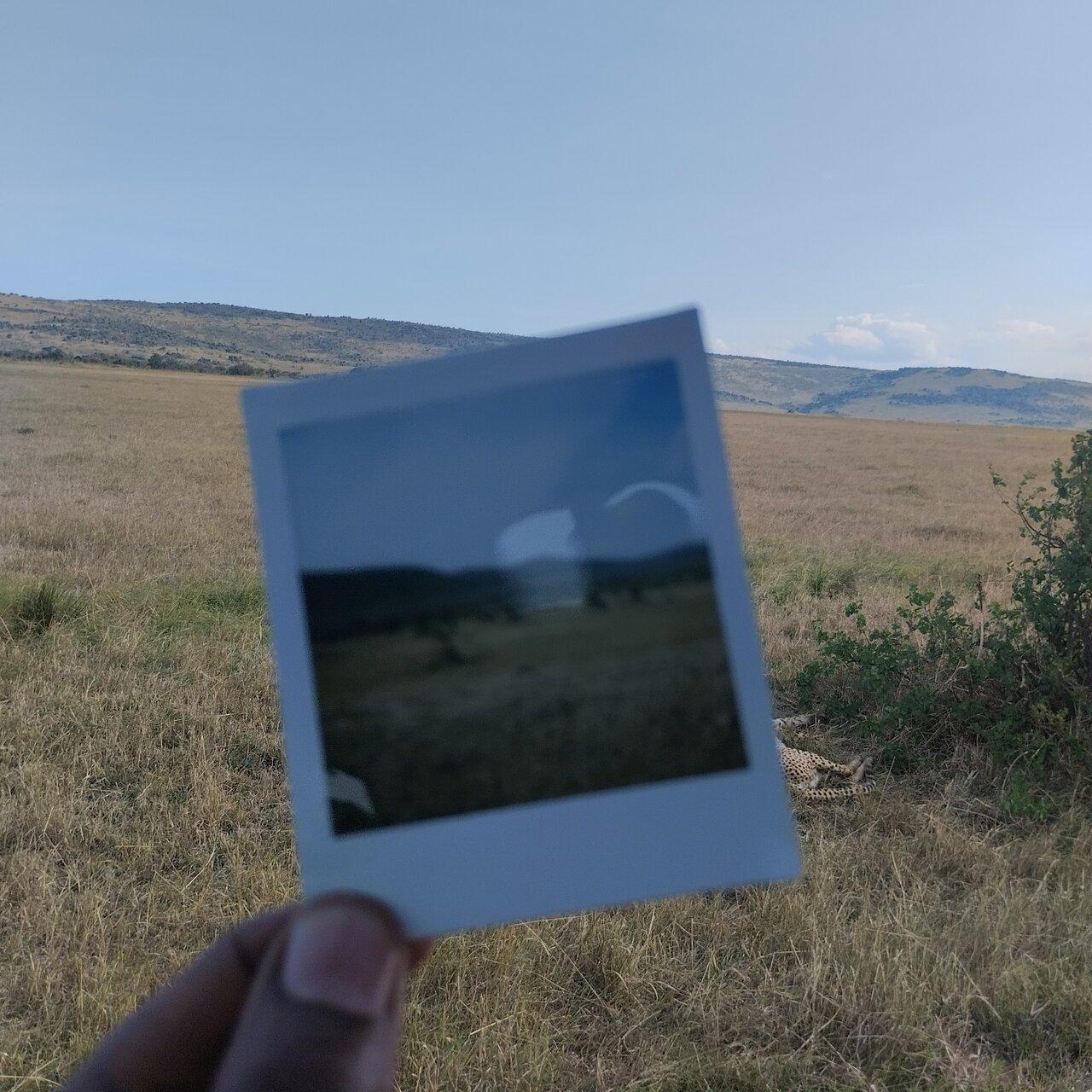 Review photo