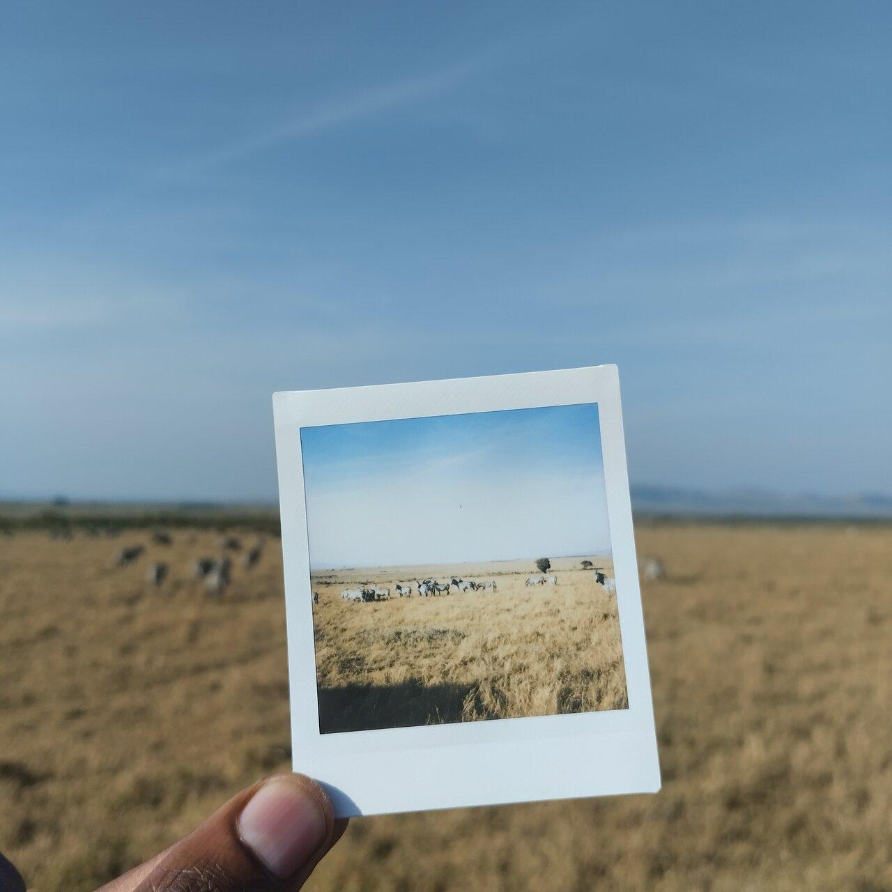Review photo