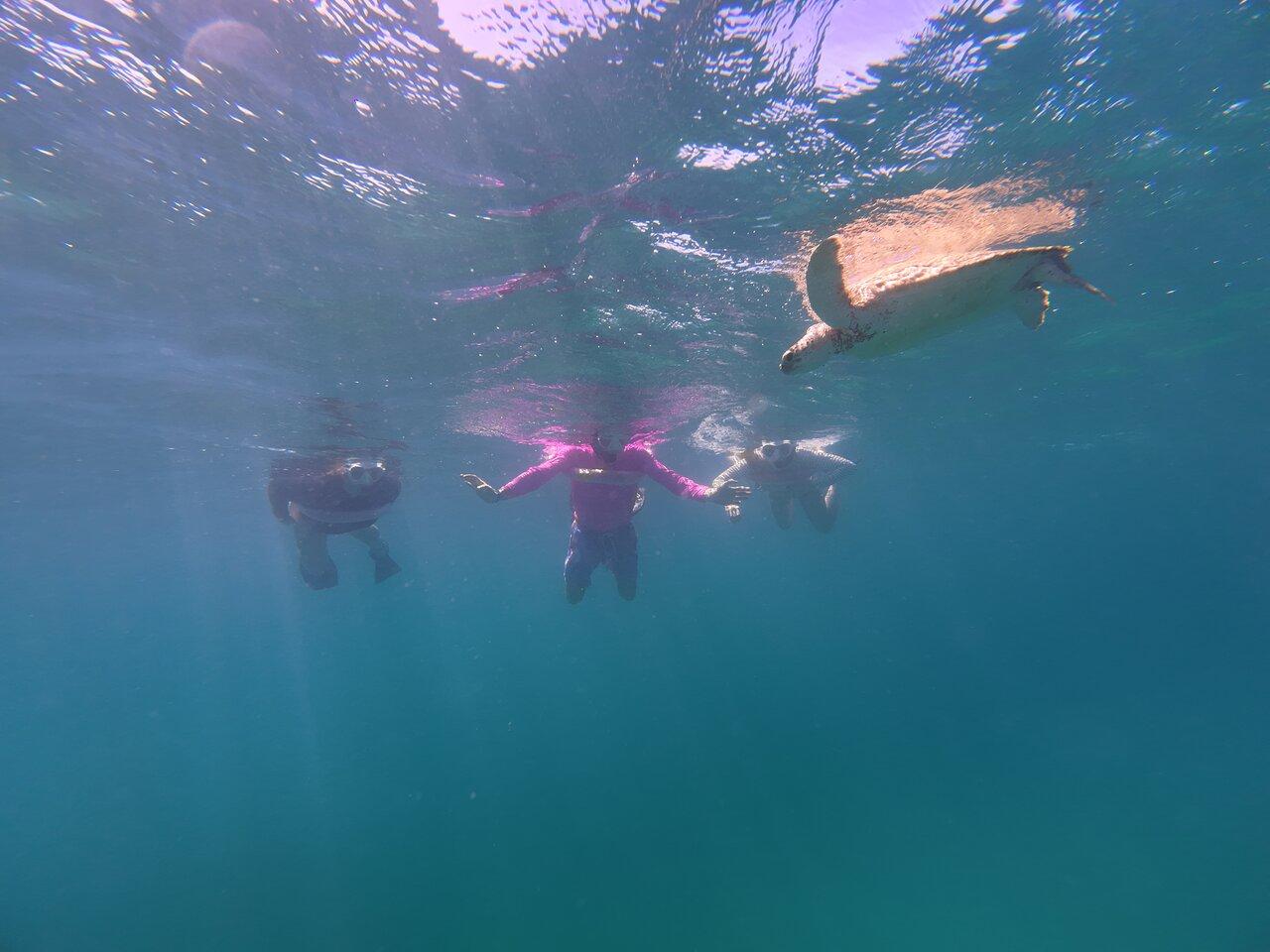 Review photo