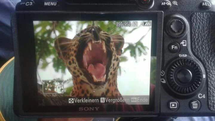 Review photo
