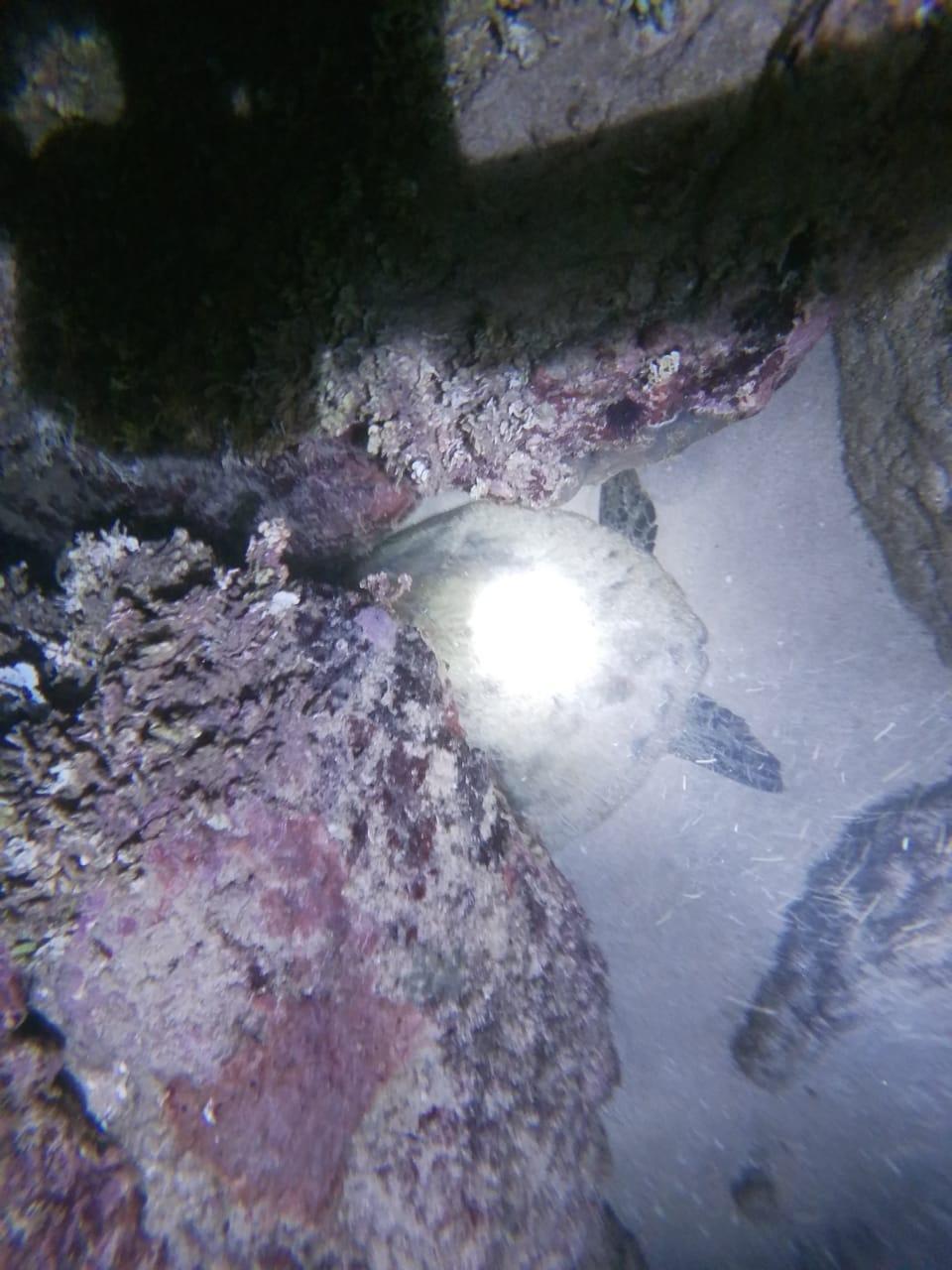 Review photo