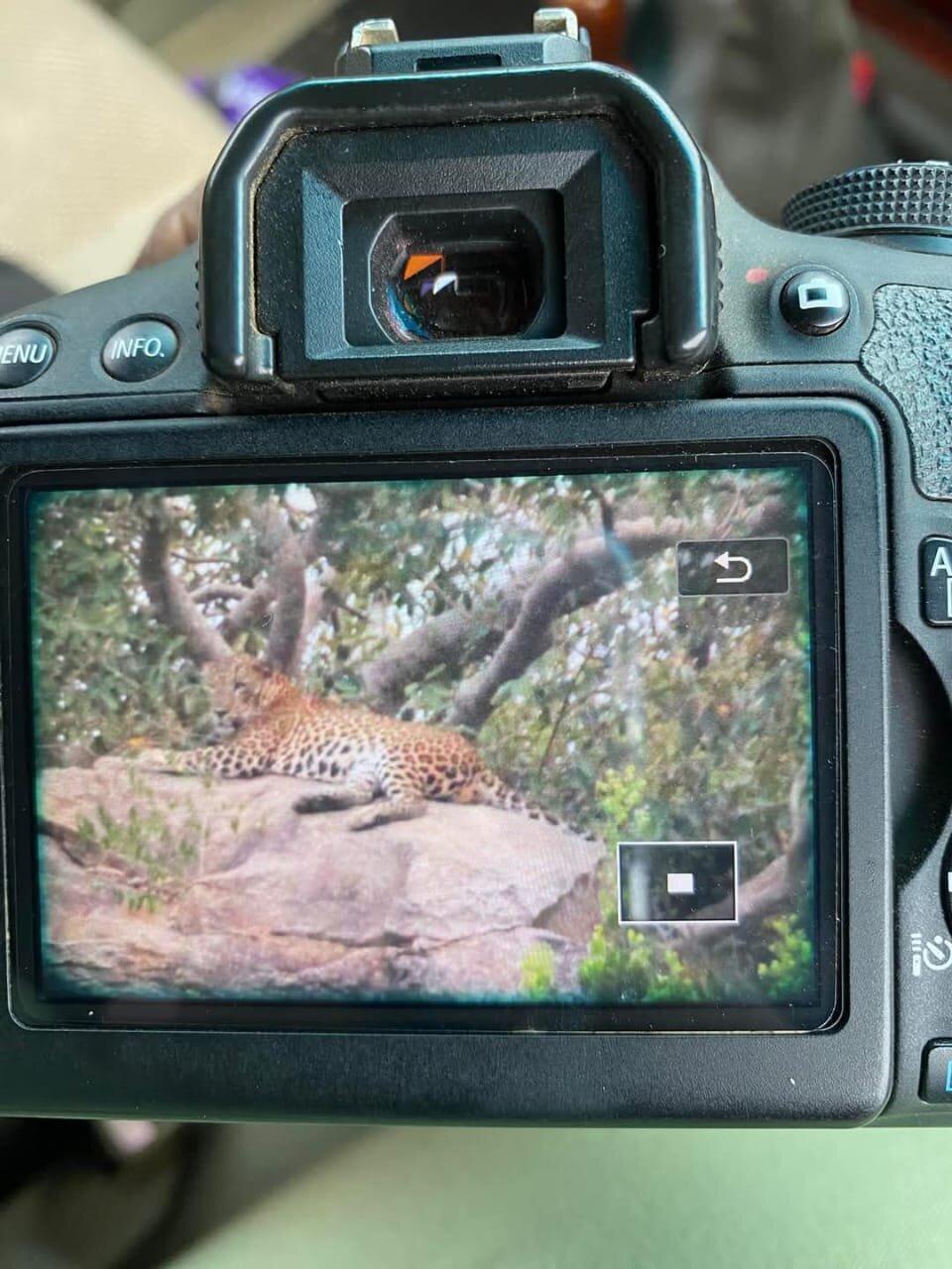 Review photo