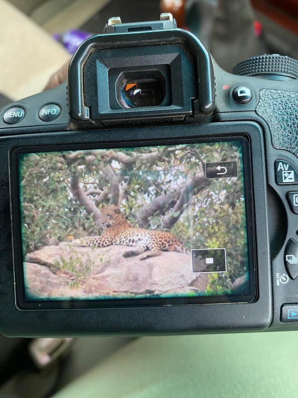 Review photo