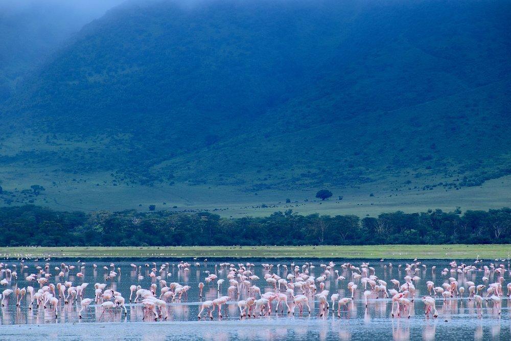 Review photo