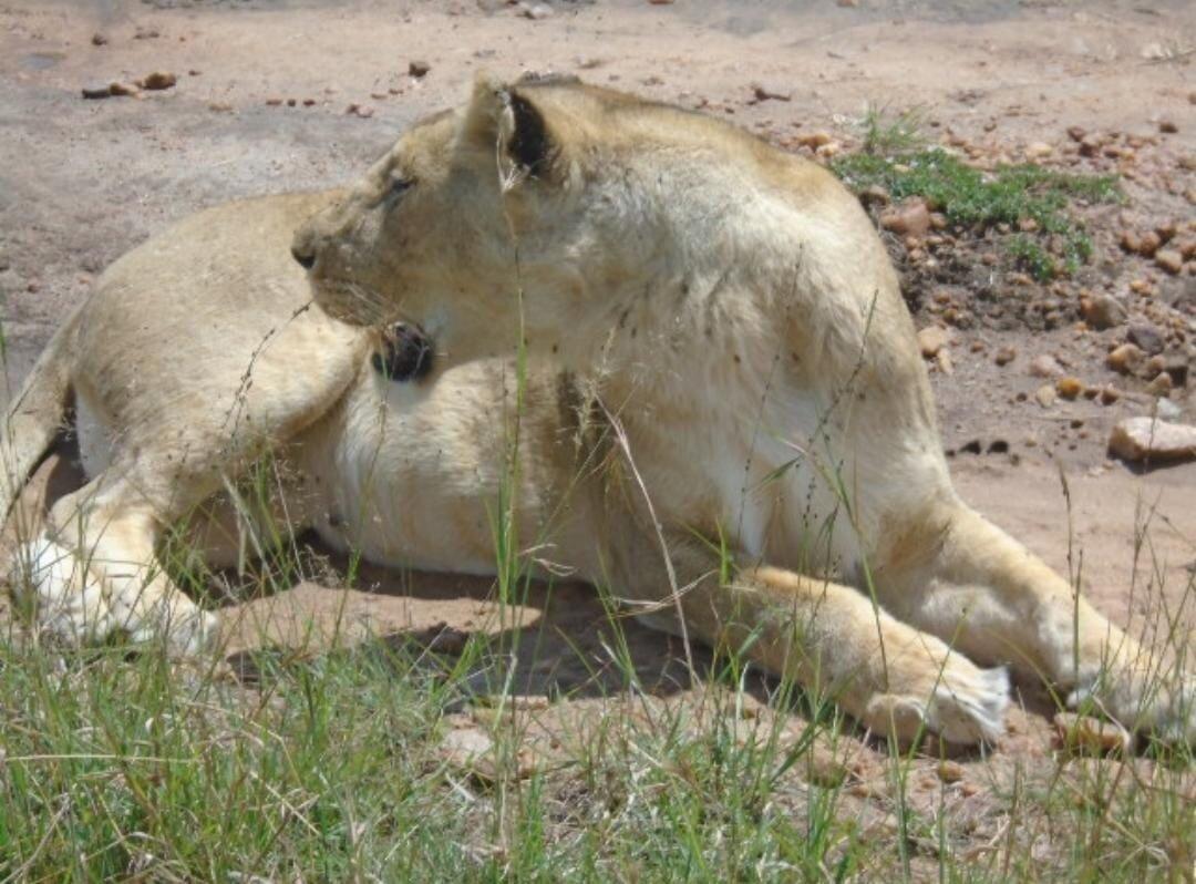 Review photo