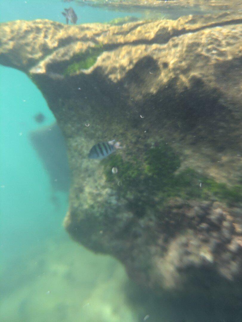 Review photo