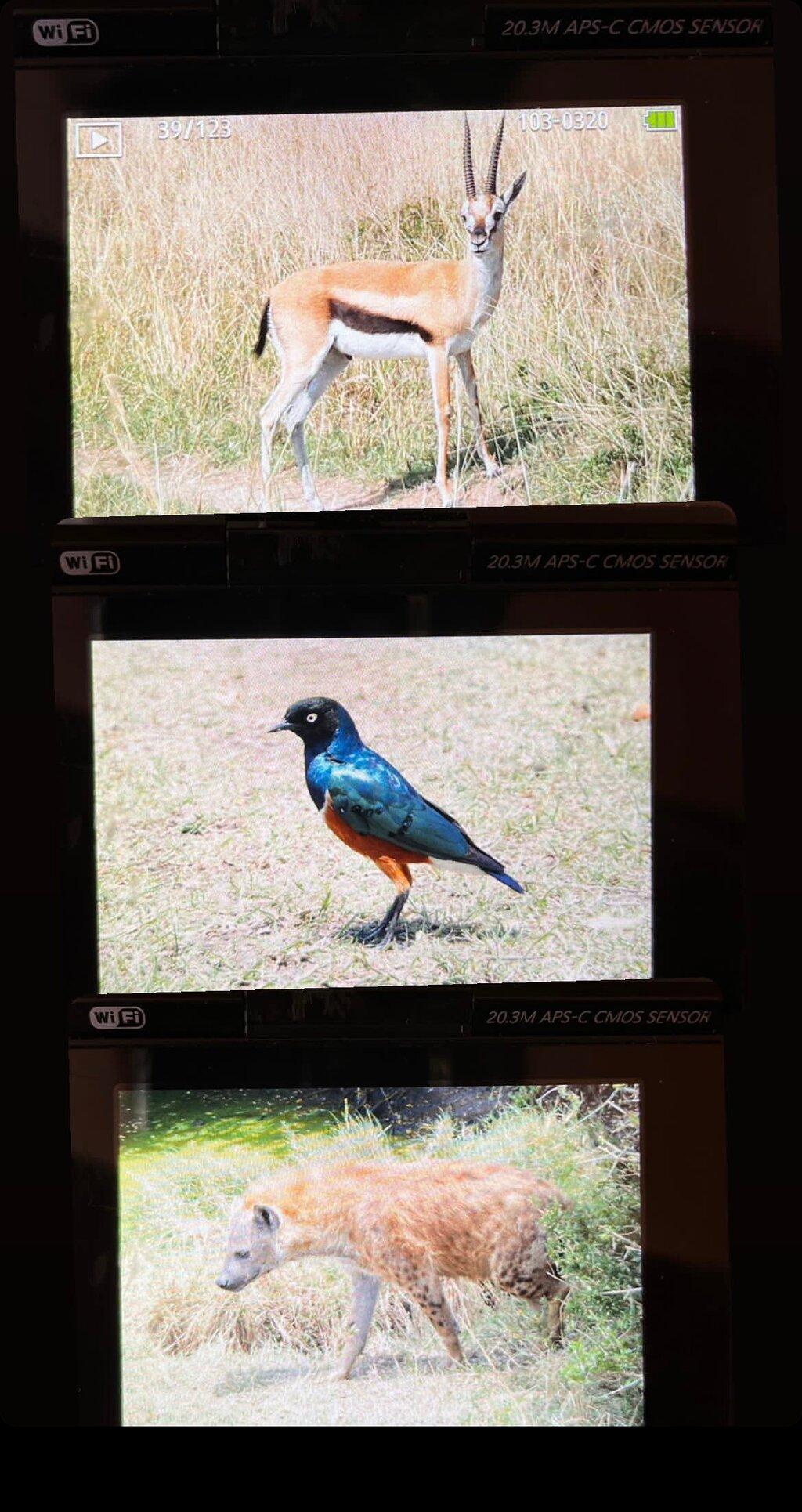 Review photo