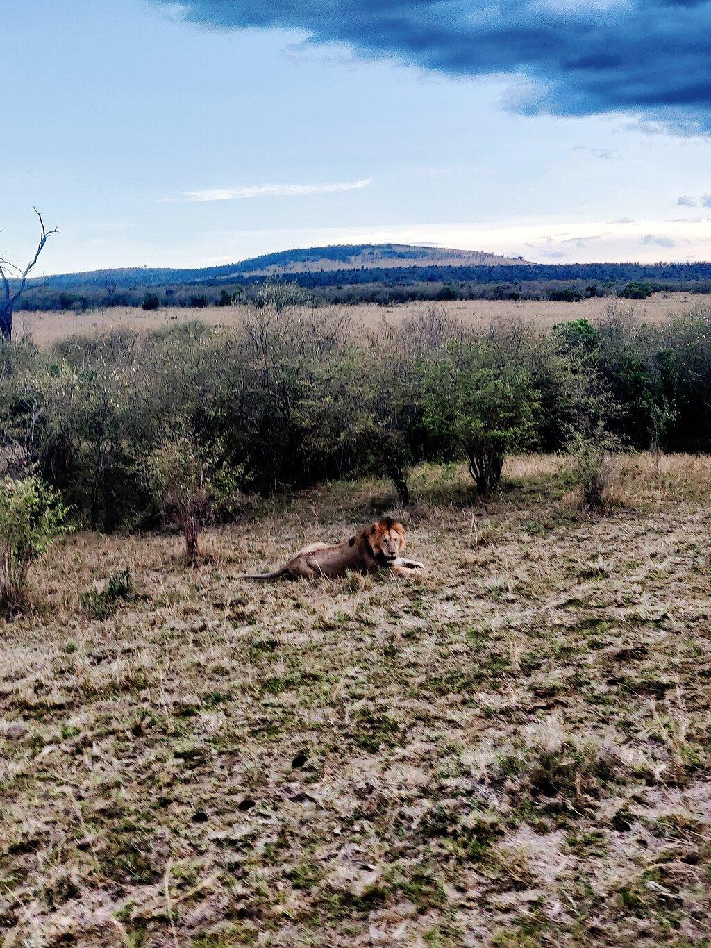 Review photo