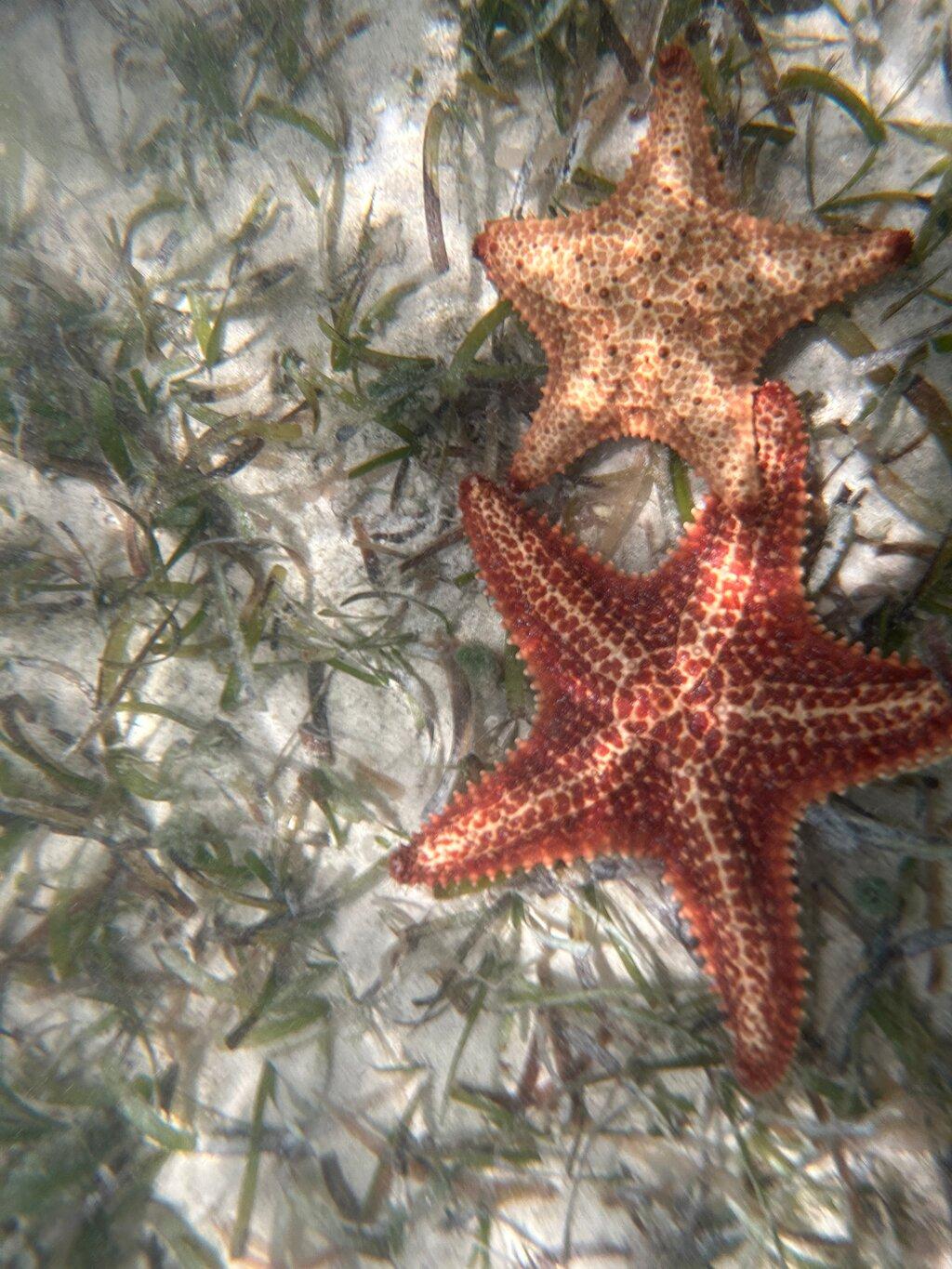 Review photo