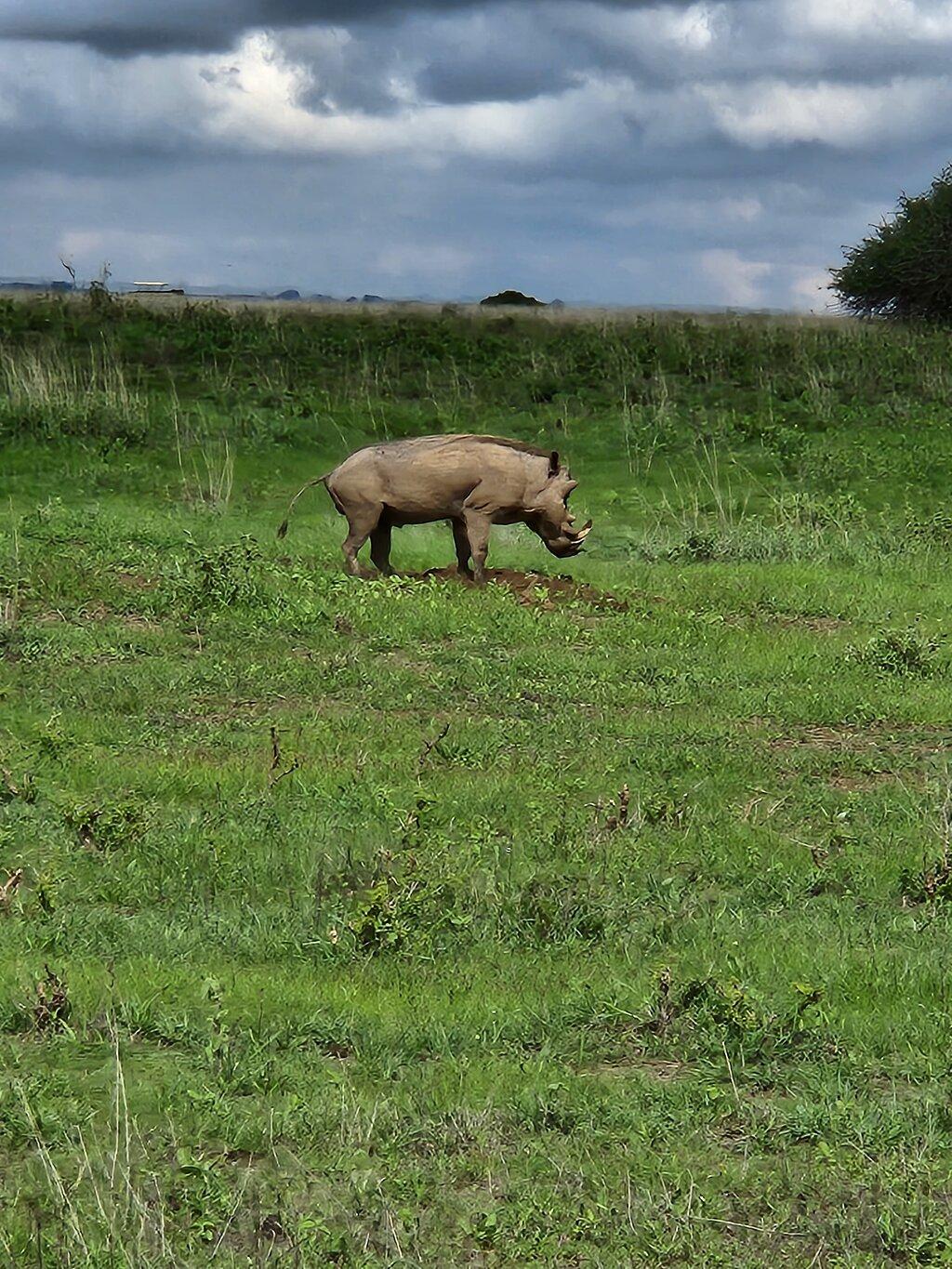 Review photo