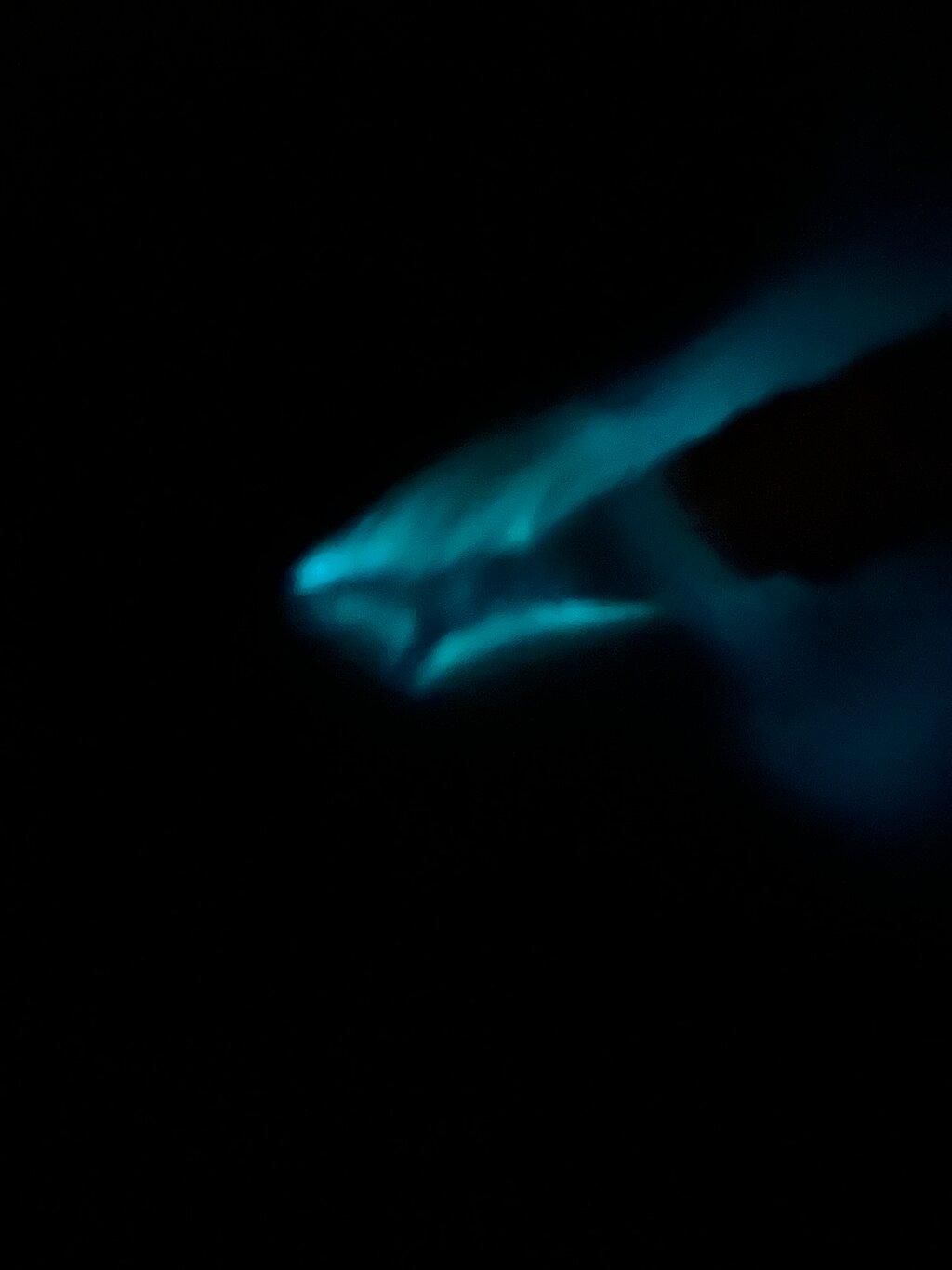 Review photo