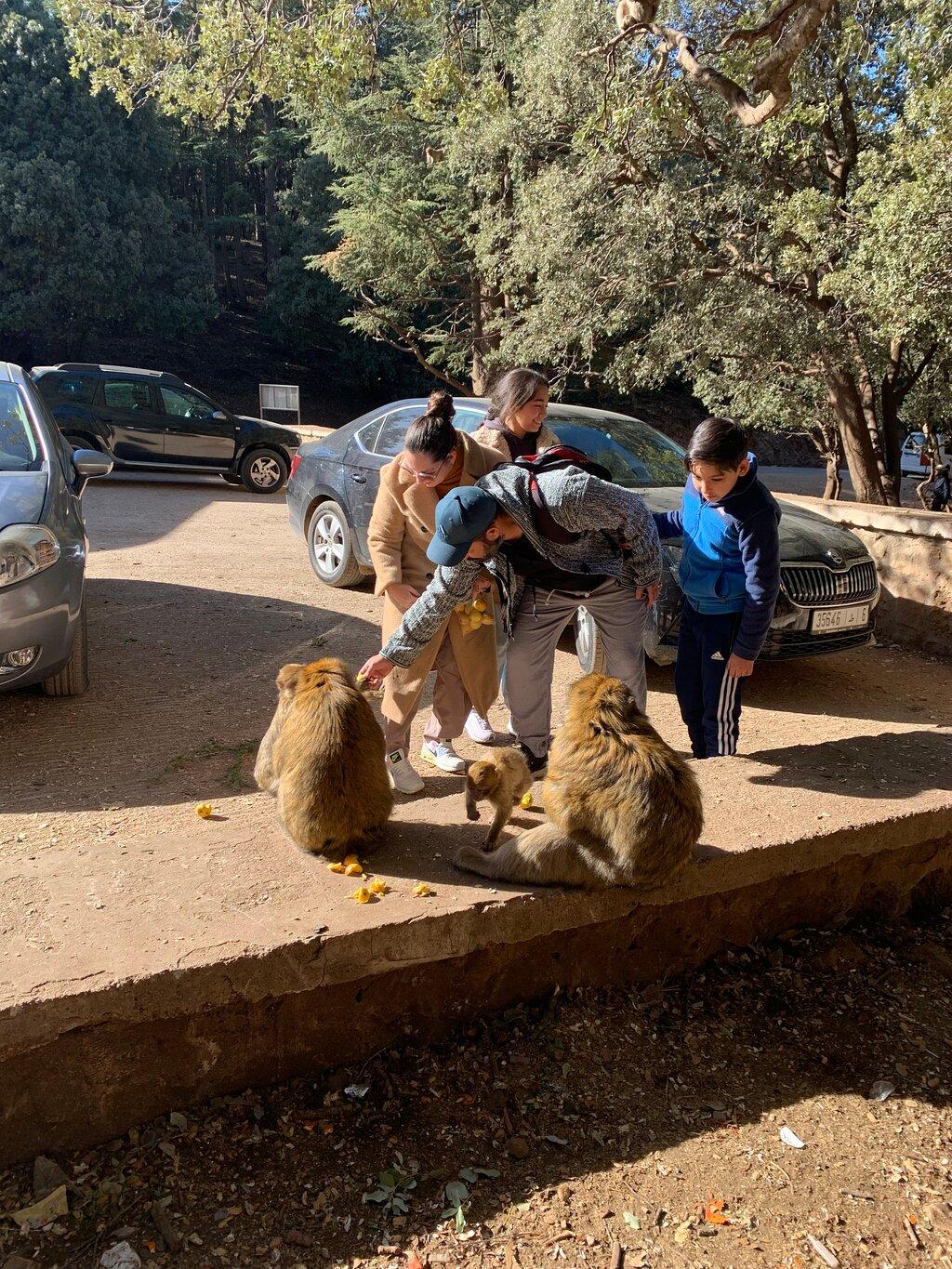 Review photo