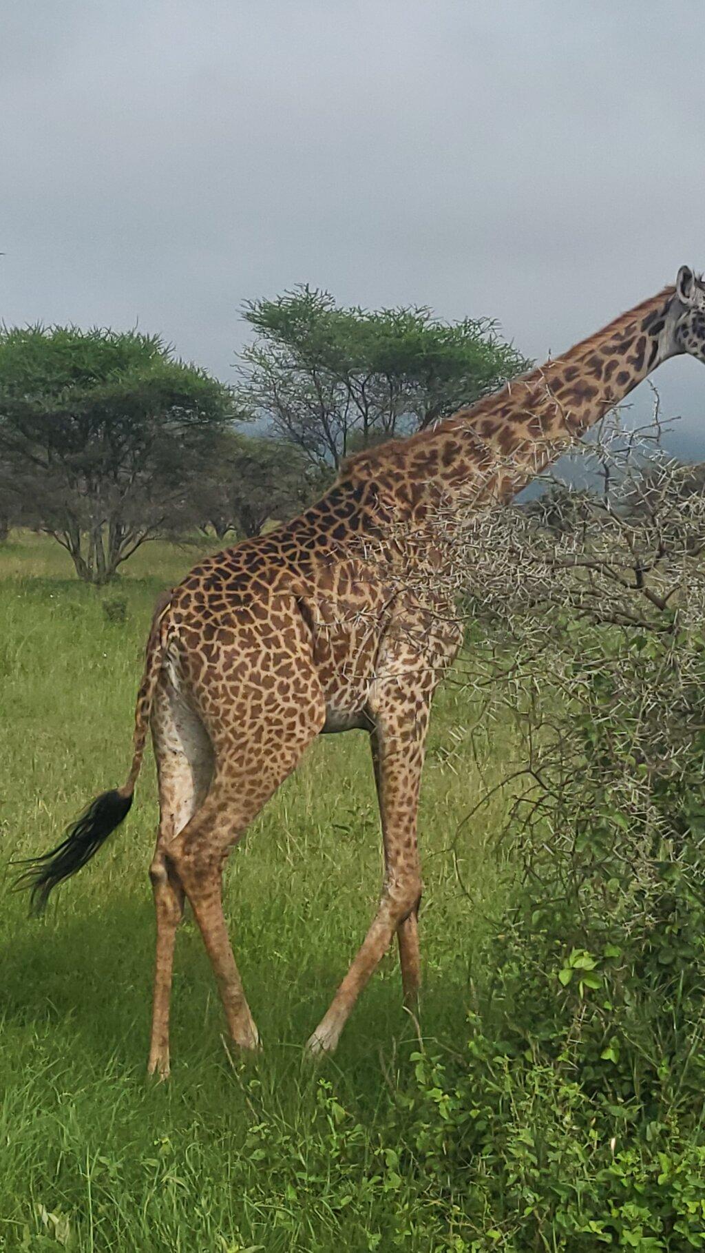 Review photo