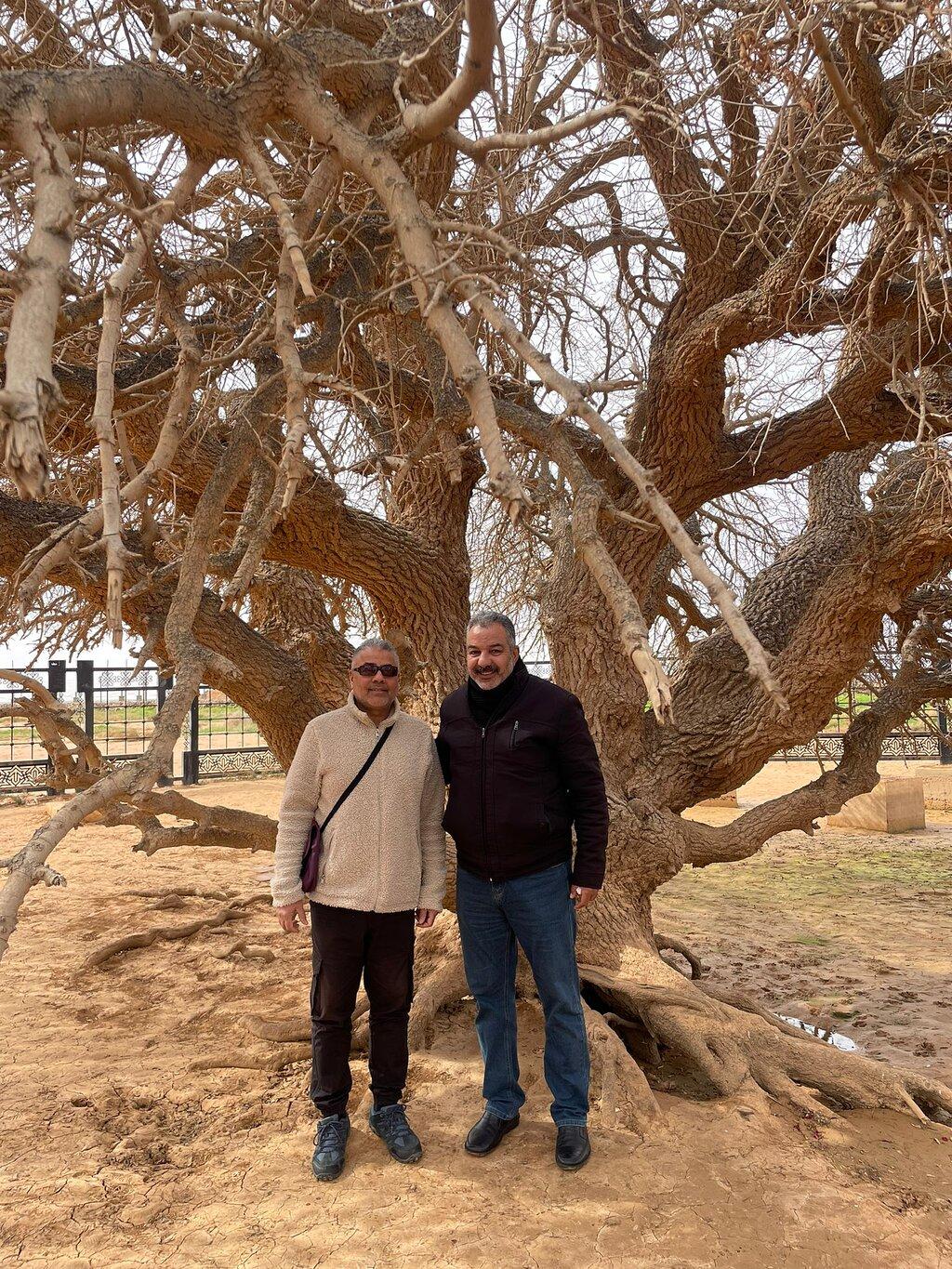 Review photo