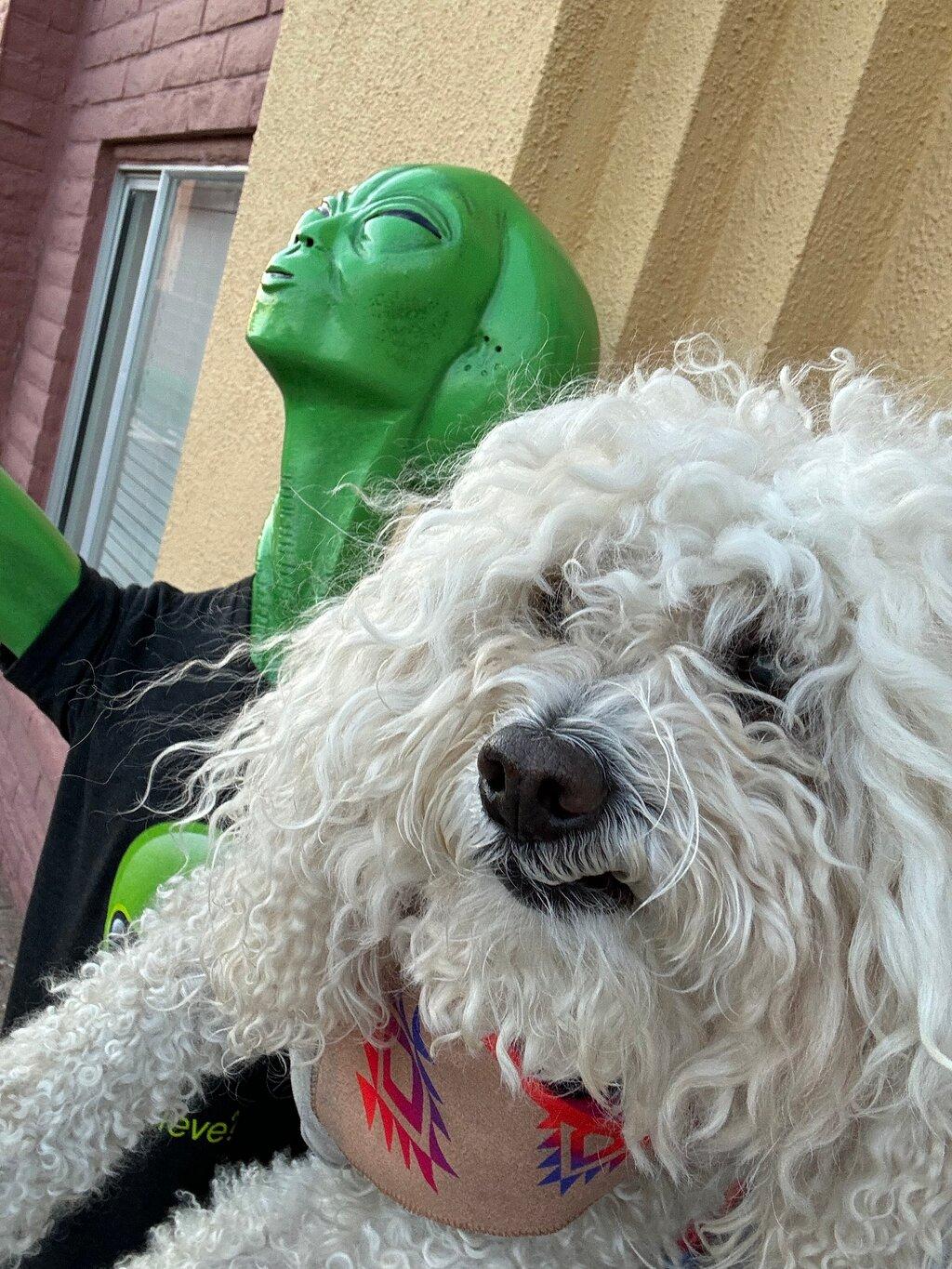 Review photo