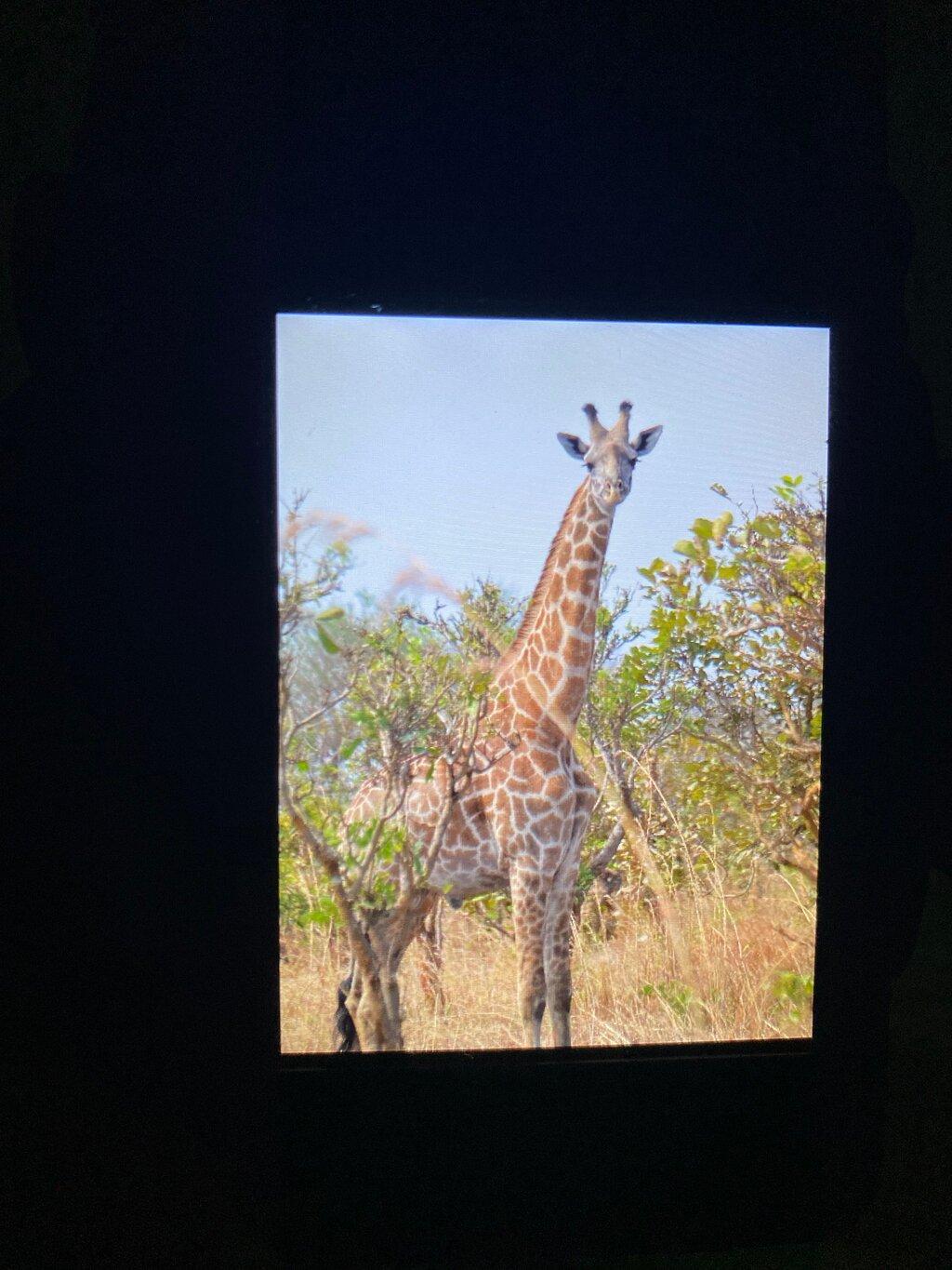 Review photo