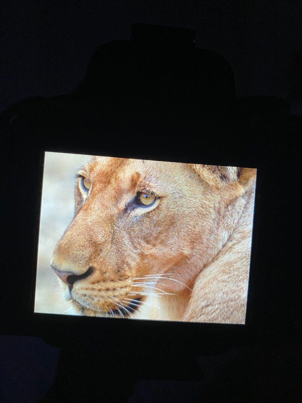 Review photo
