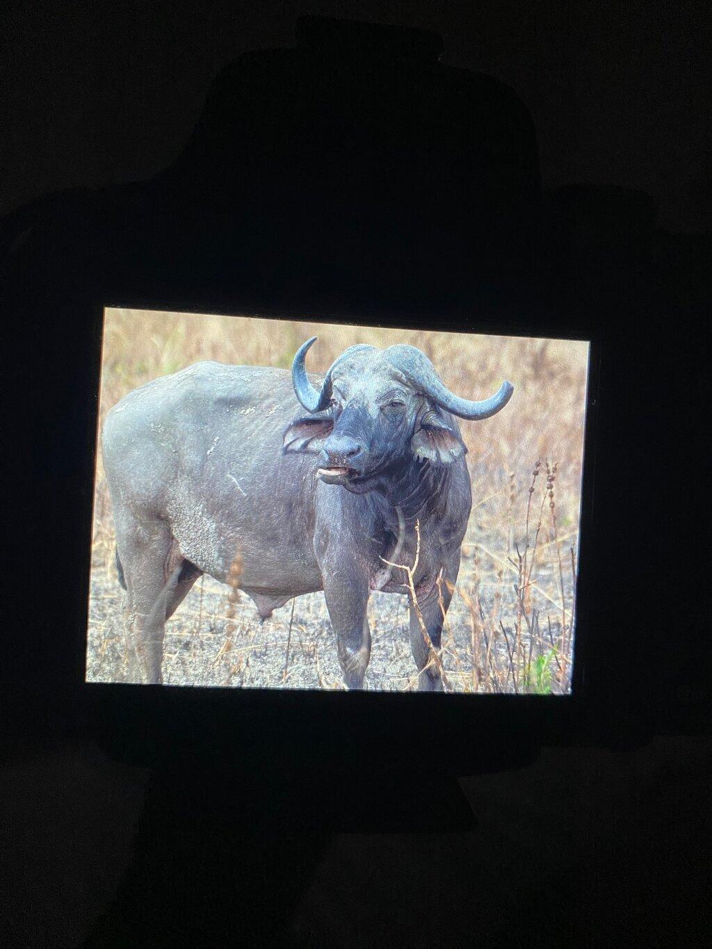 Review photo