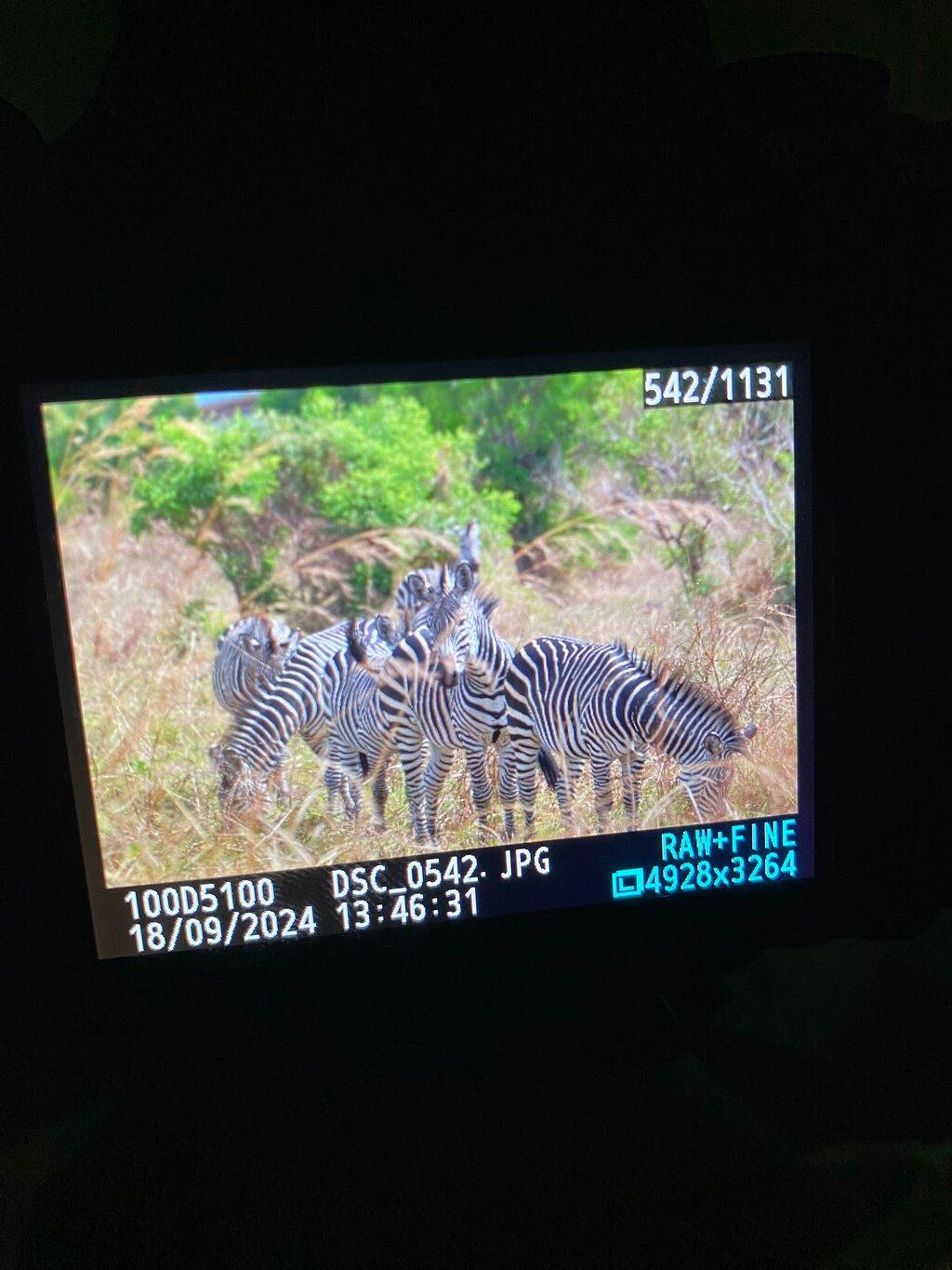 Review photo