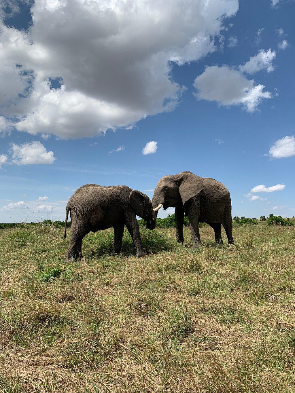 Review photo