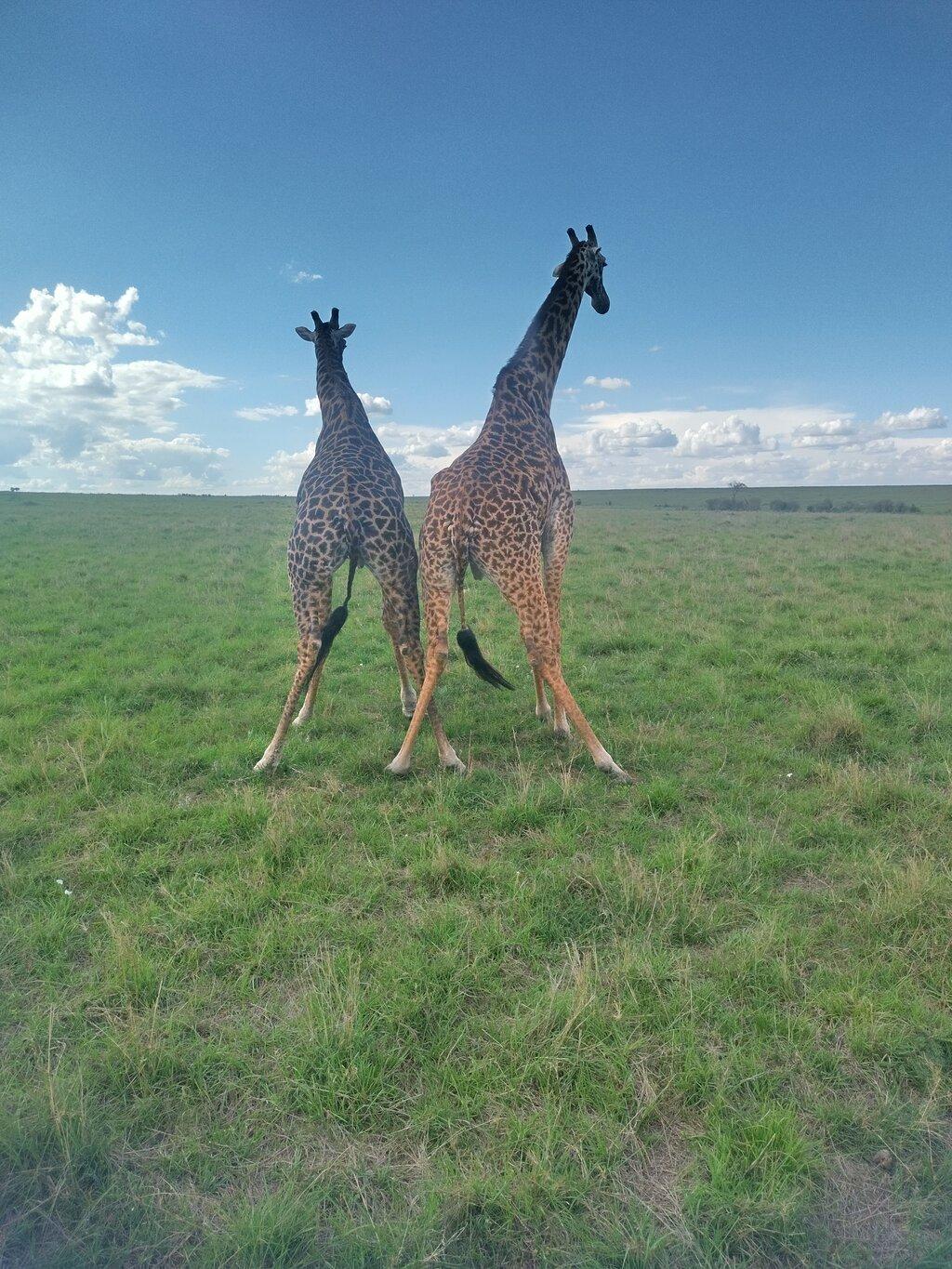 Review photo