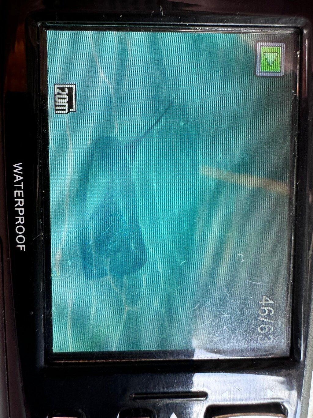 Review photo